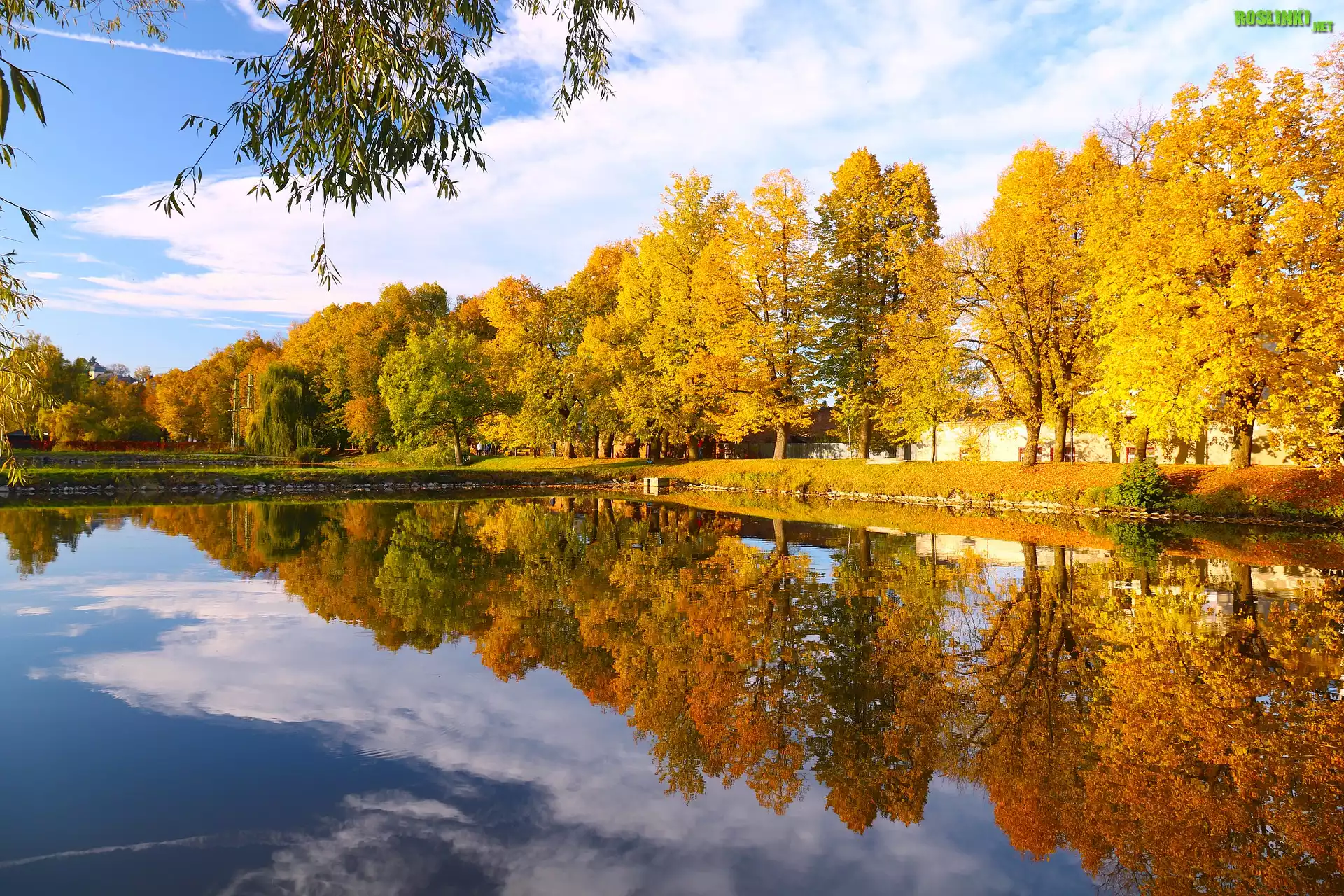 Park, Jesień, Staw, Odbicie, Drzewa