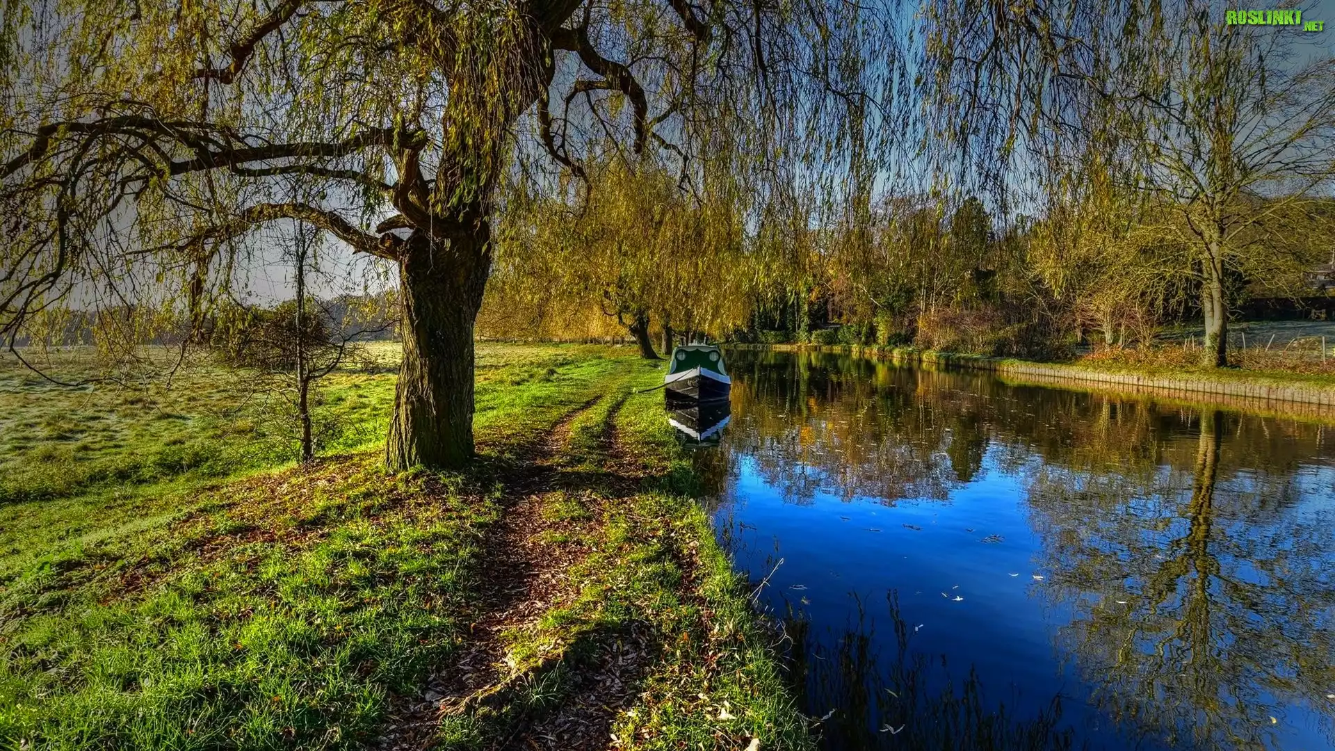 Park, Kanał, Łódka, Drzewa