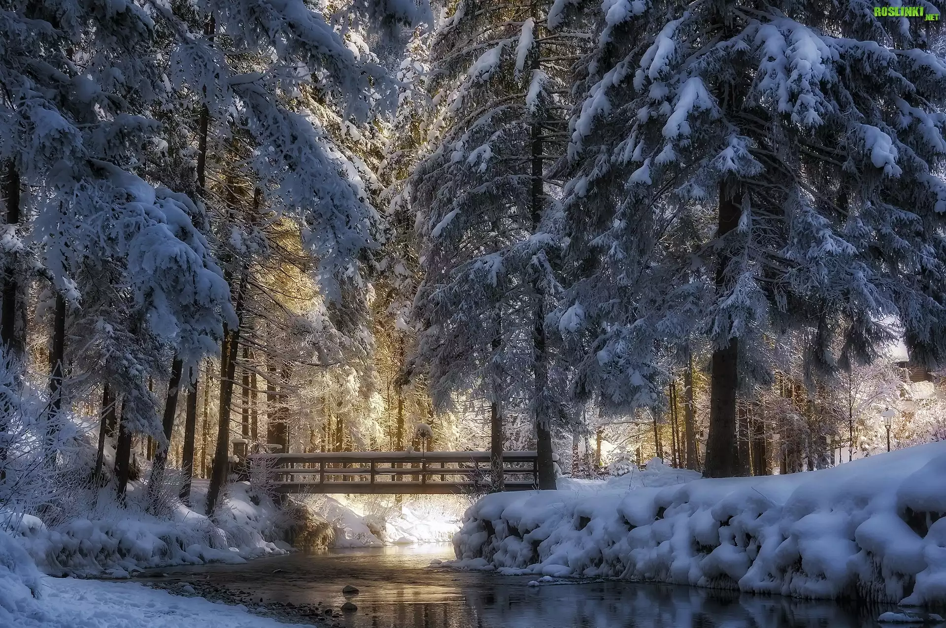 Park, Zima, Most, Rzeczka, Ośnieżone, Drzewa