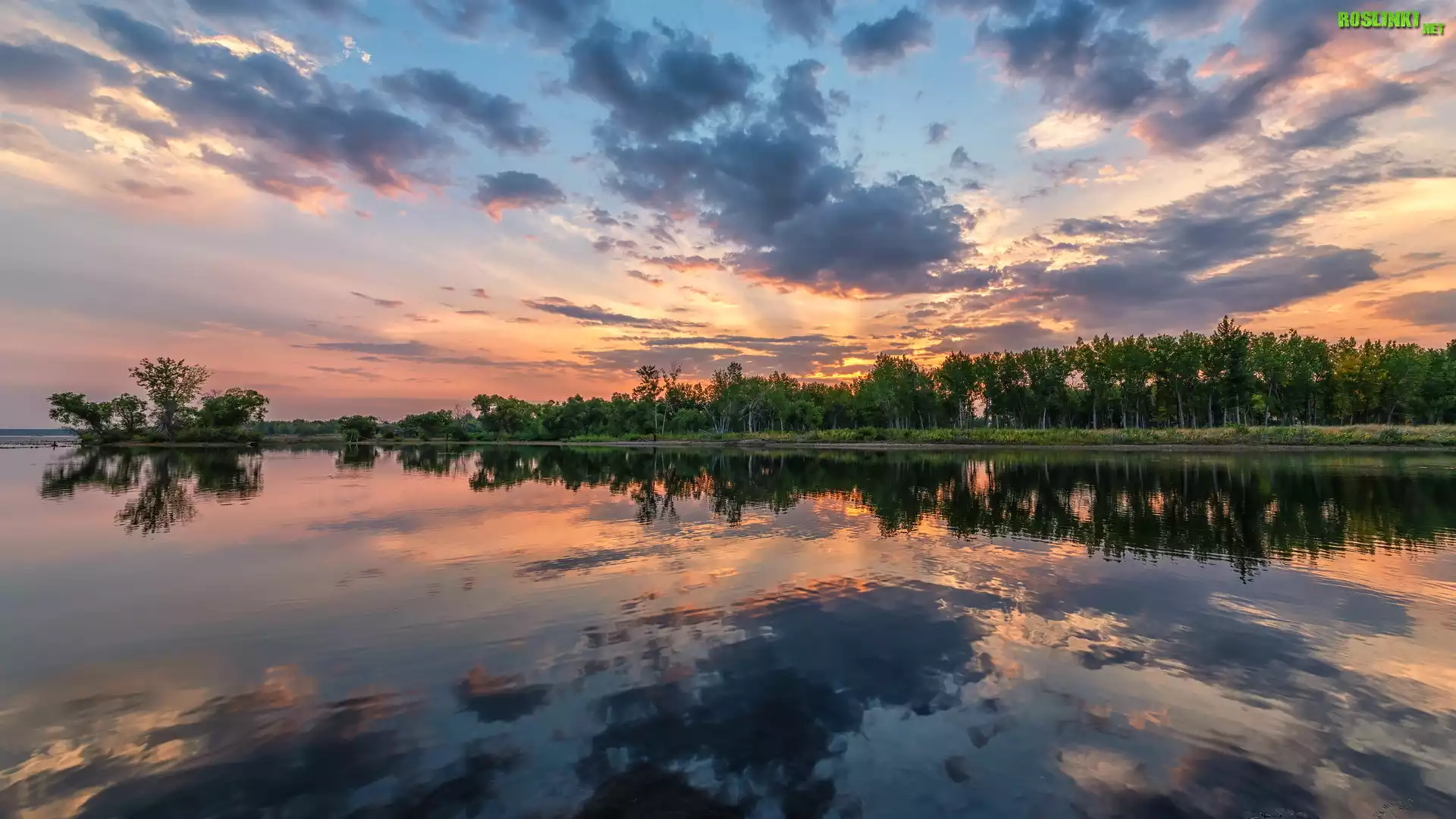 Park stanowy, Chatfield State Park, Jezioro, Chatfield Lake, Wschód słońca, Drzewa, Kolorado, Stany Zjednoczone