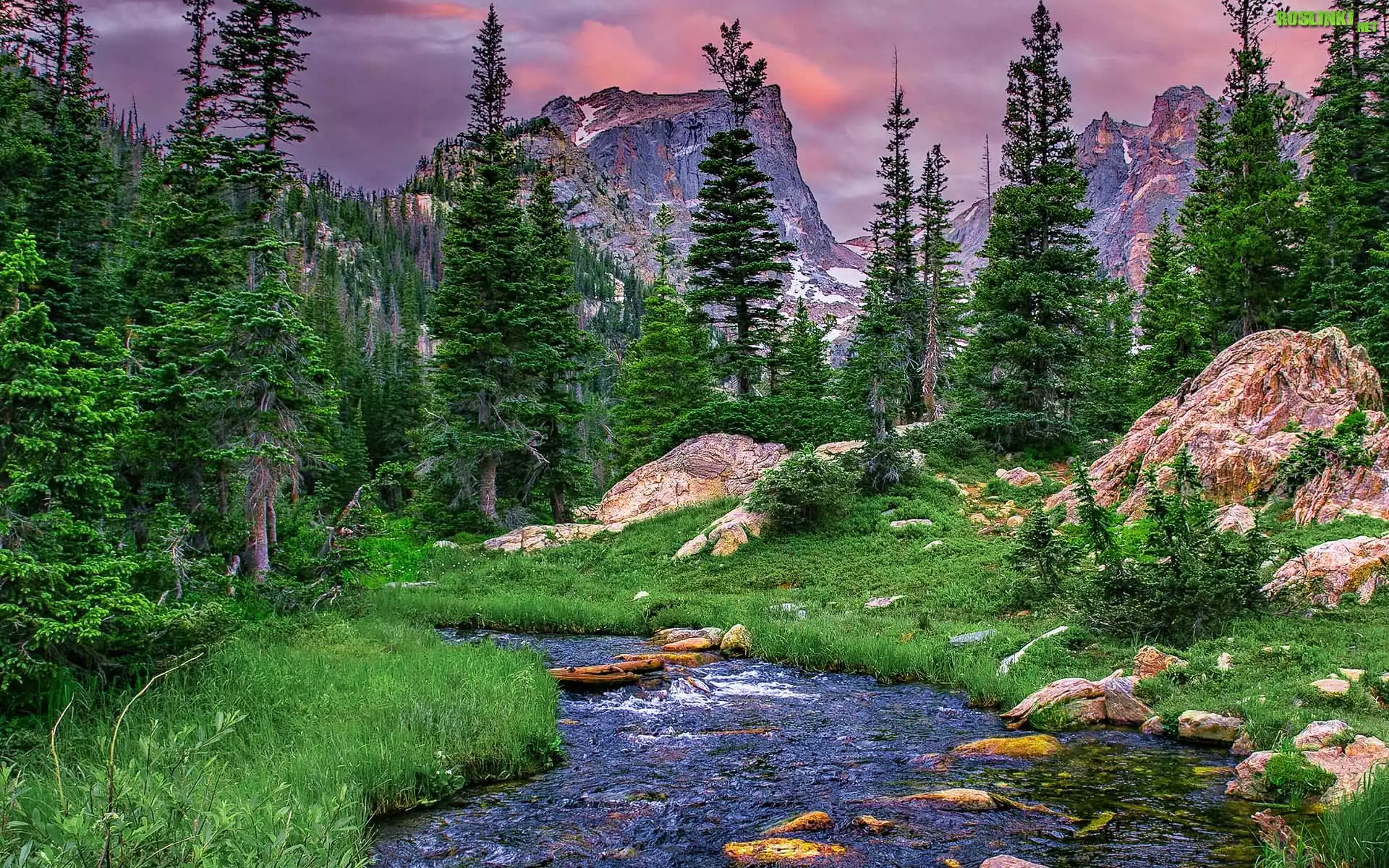 Stany Zjednoczone, Kolorado, Park Narodowy Gór Skalistych, Góry, Hallet Peak, Rzeka, Drzewa, Skały