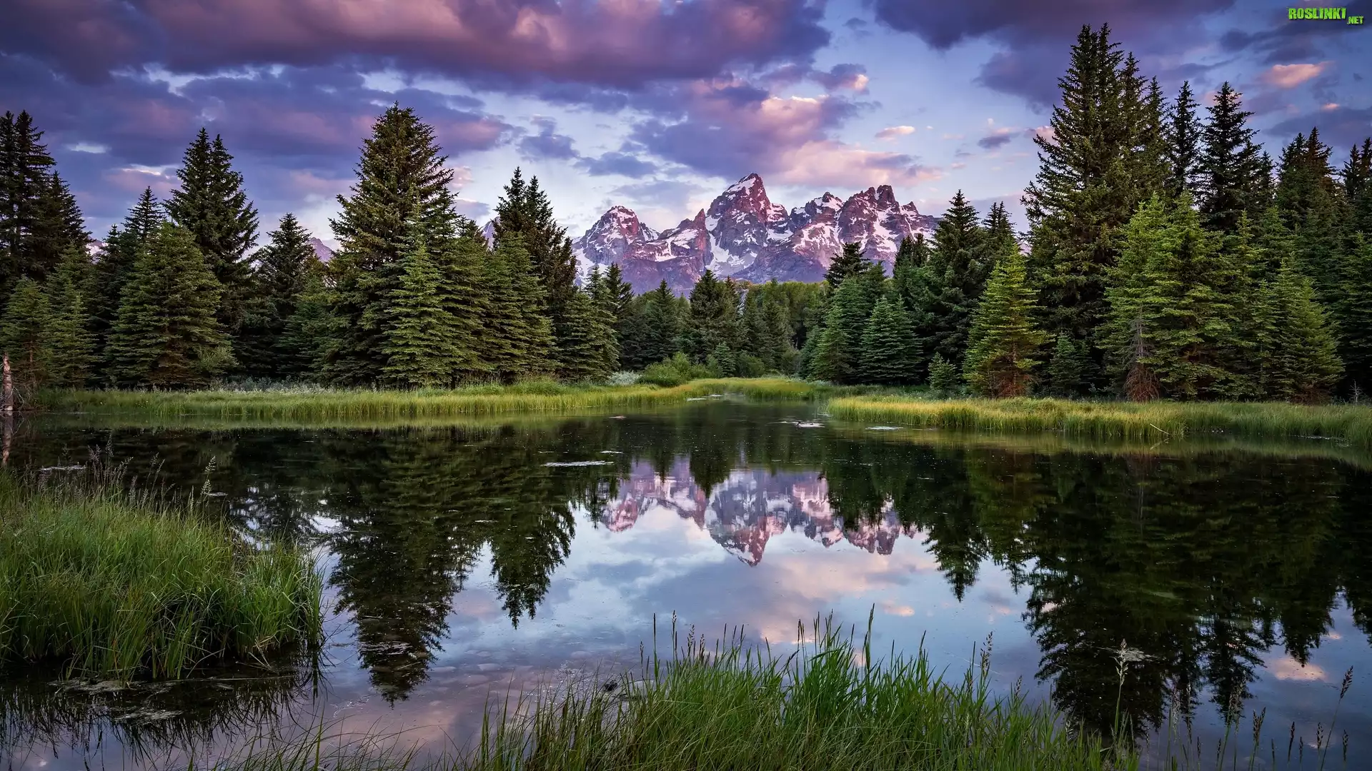 Park Narodowy Grand Teton, Rzeka Snake River, Góry Teton Range, Las, Drzewa, Ciemne, Chmury, Odbicie, Stan Wyoming, Stany Zjednoczone