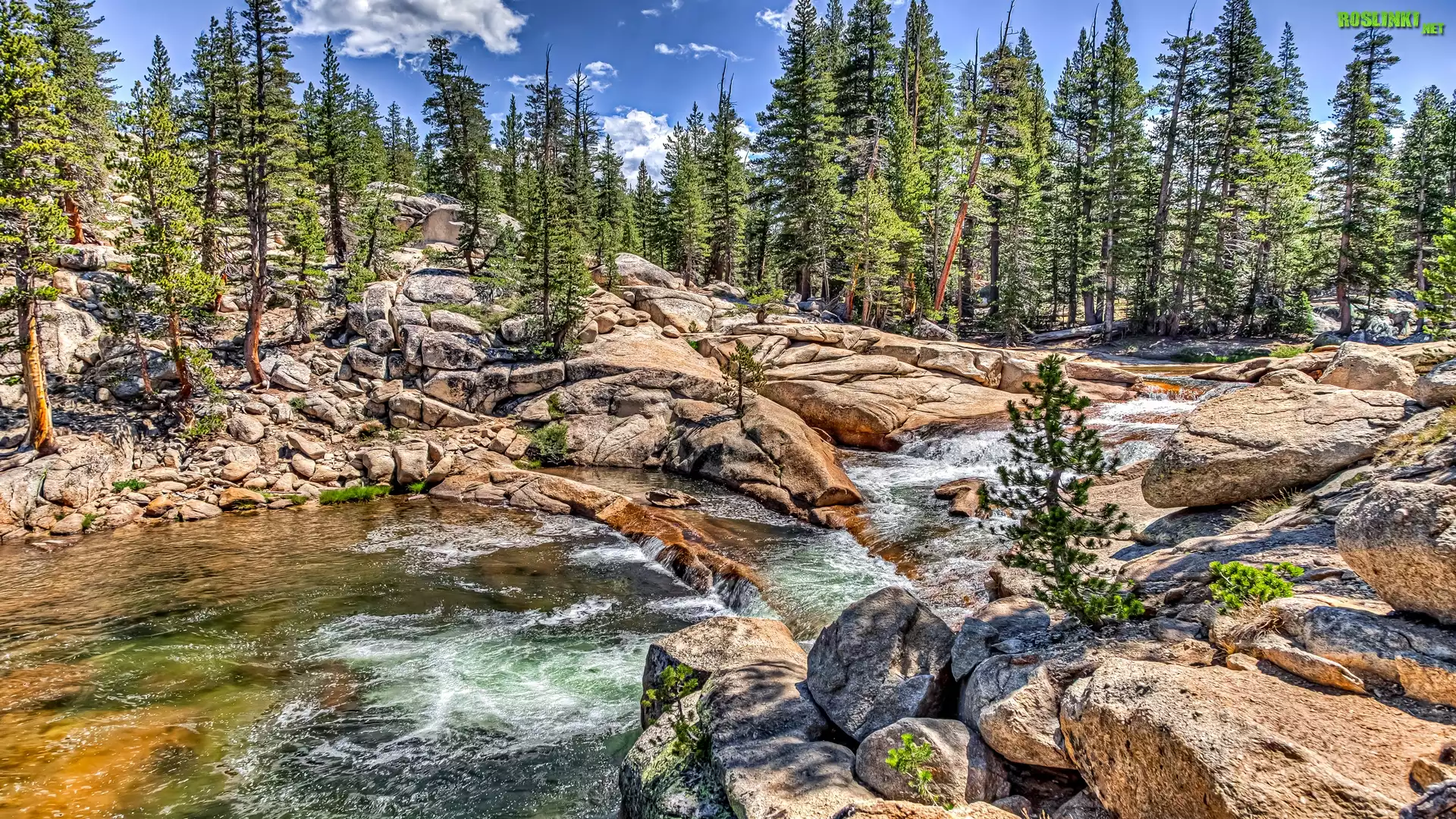 Park Narodowy Yosemite, Rzeka Tuolumne River, Stany Zjednoczone, Stan Kalifornia, Drzewa, Kamienie, Skały