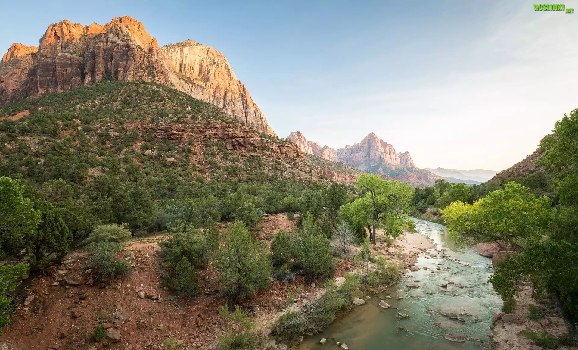 Stany Zjednoczone, Stan Utah, Park Narodowy Zion, Góra Watchman, Góry, Rzeka Virgin River, Drzewa