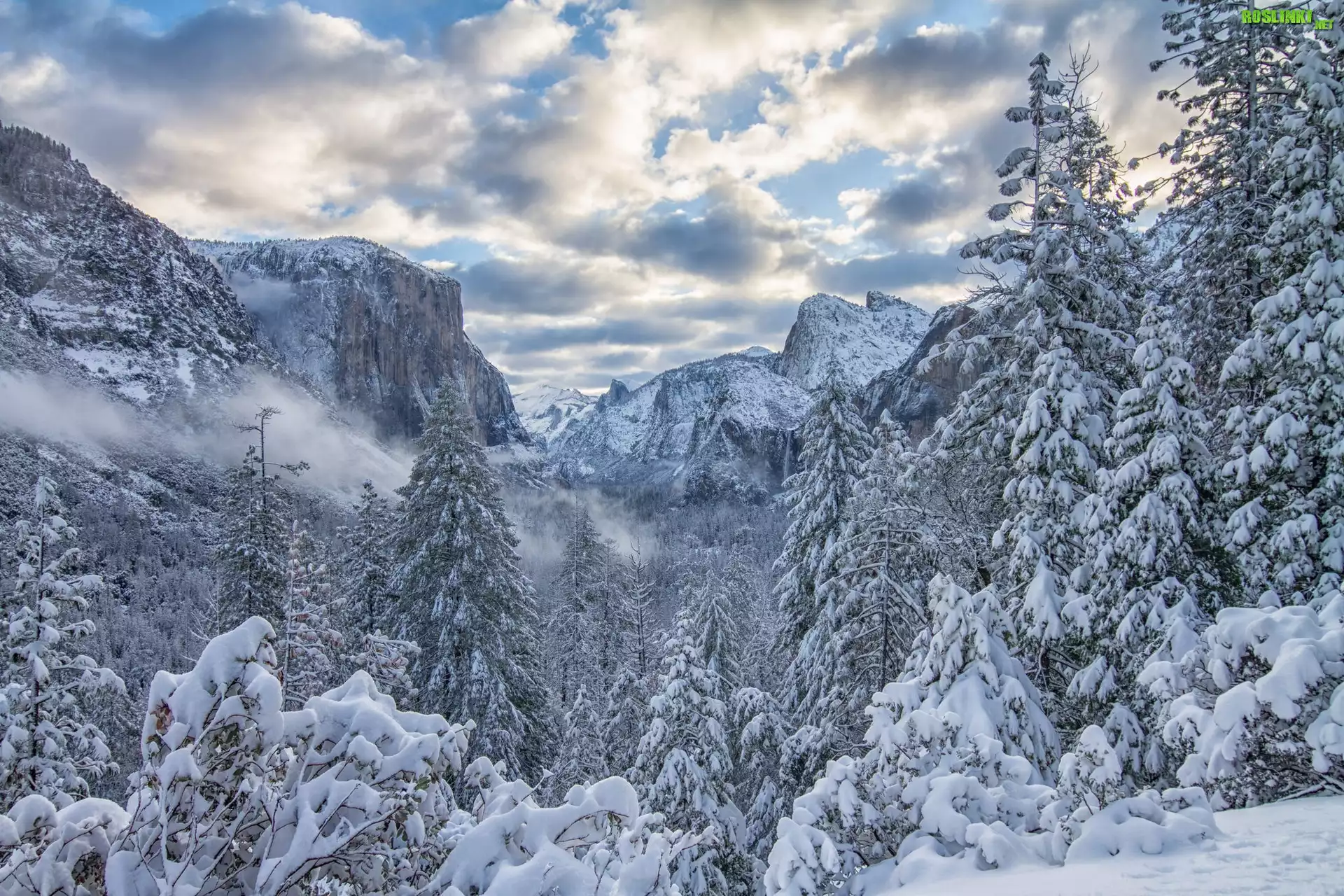 Park Narodowy Yosemite, Zima, Góry Sierra Nevada, Drzewa, Chmury, Stan Kalifornia, Stany Zjednoczone
