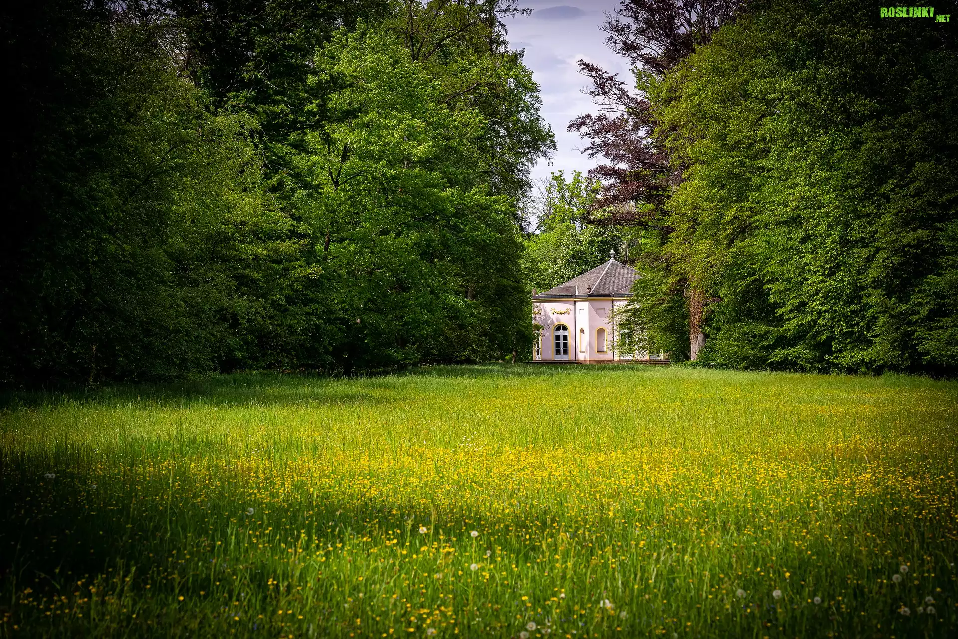 Park, Łąka, Drzewa, Pawilon, Domek, Zieleń
