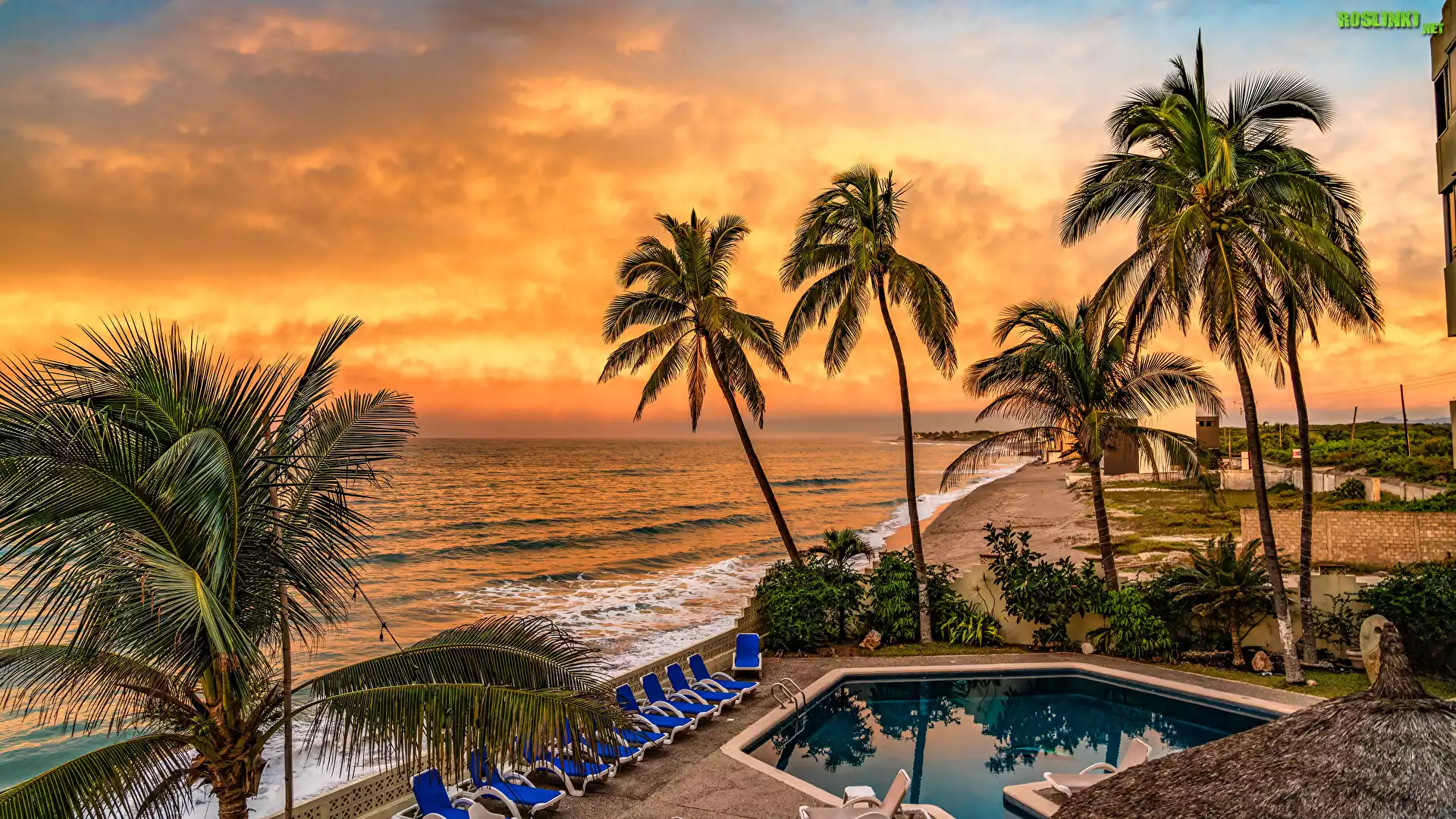 Meksyk, Mazatlan, Golden Beach, Palmy, Basen, Leżaki, Plaża, Morze, Zachód słońca