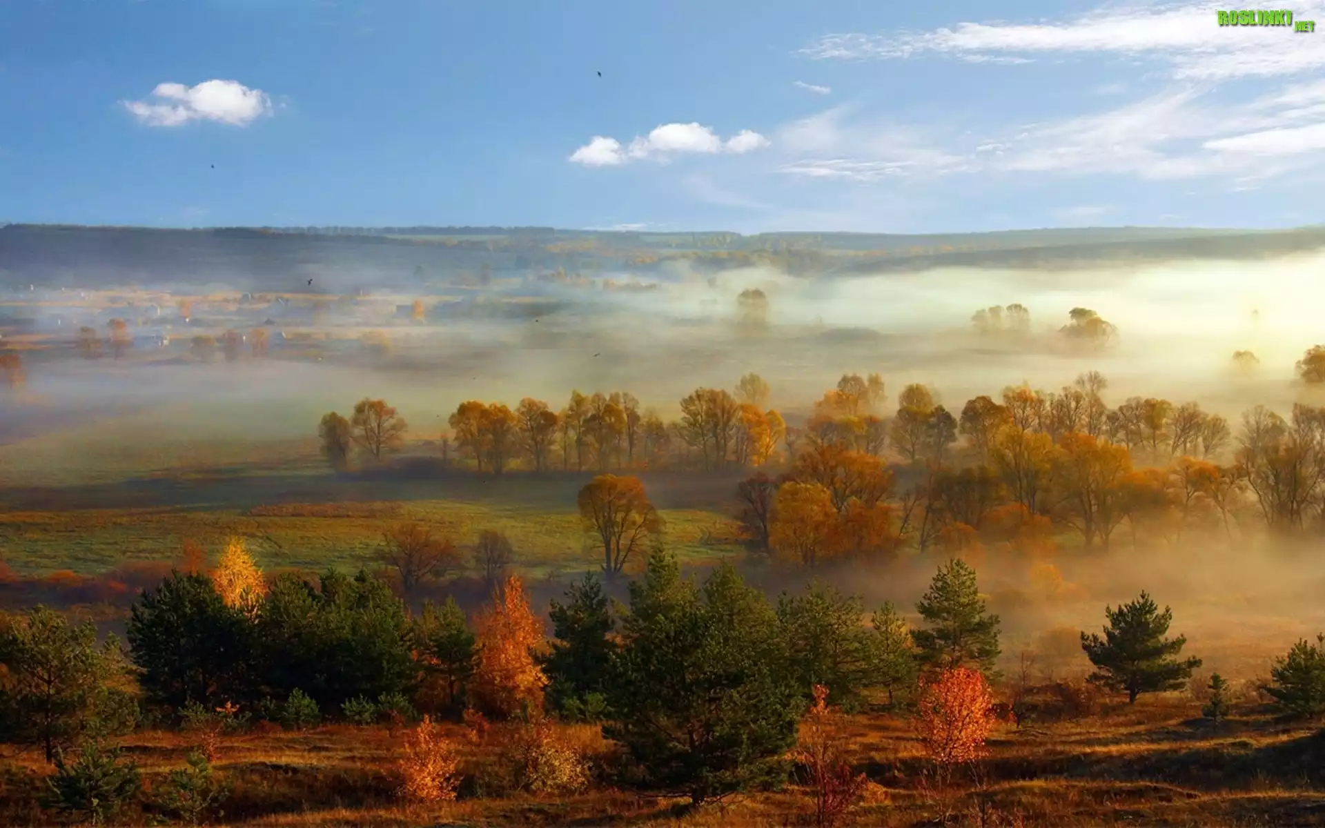 Pola, Drzewa, Mgła, Panorama, Jesień