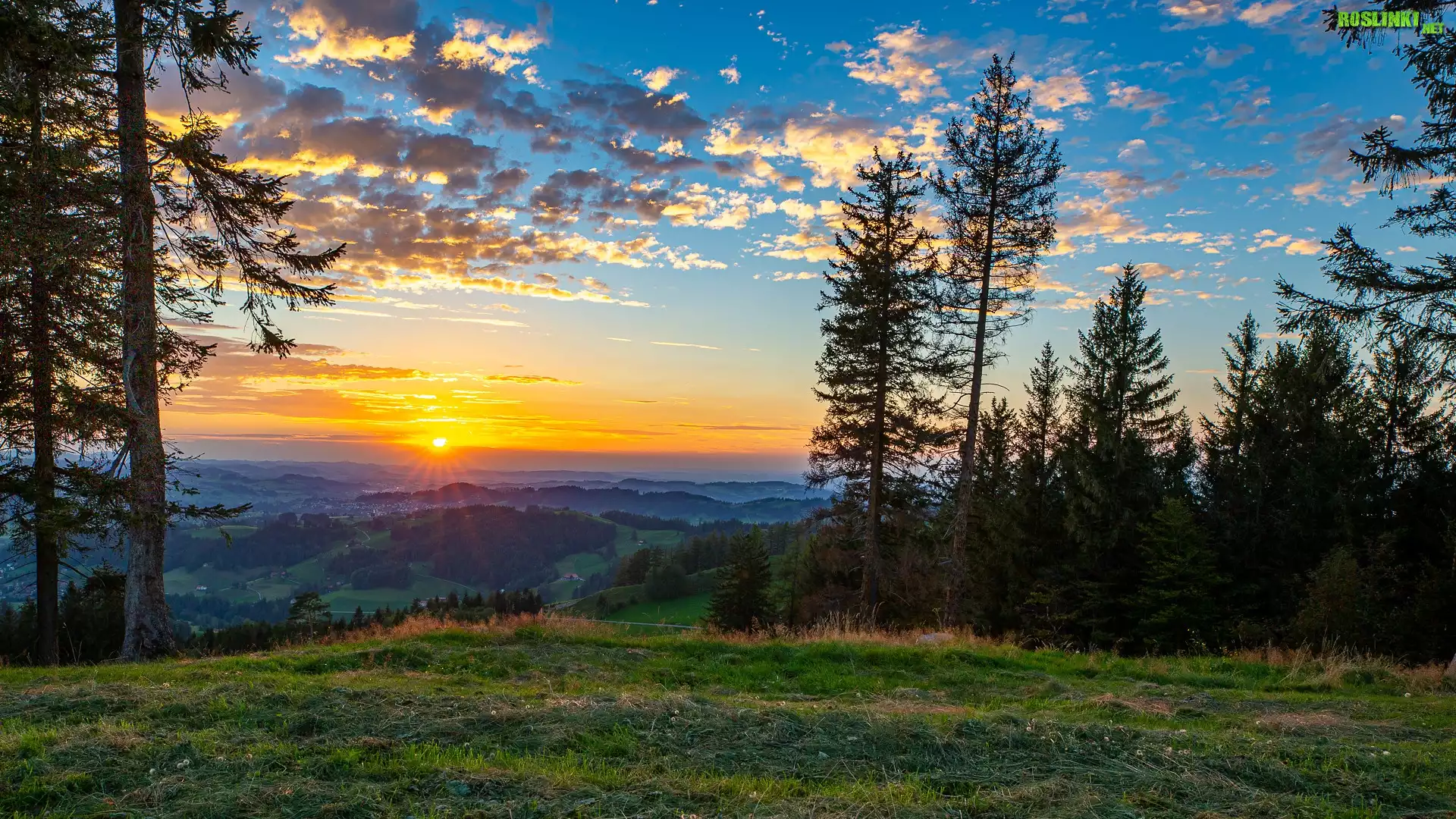 Polana, Wzgórze, Las, Drzewa, Dolina, Niebo, Obłoki, Zachód słońca