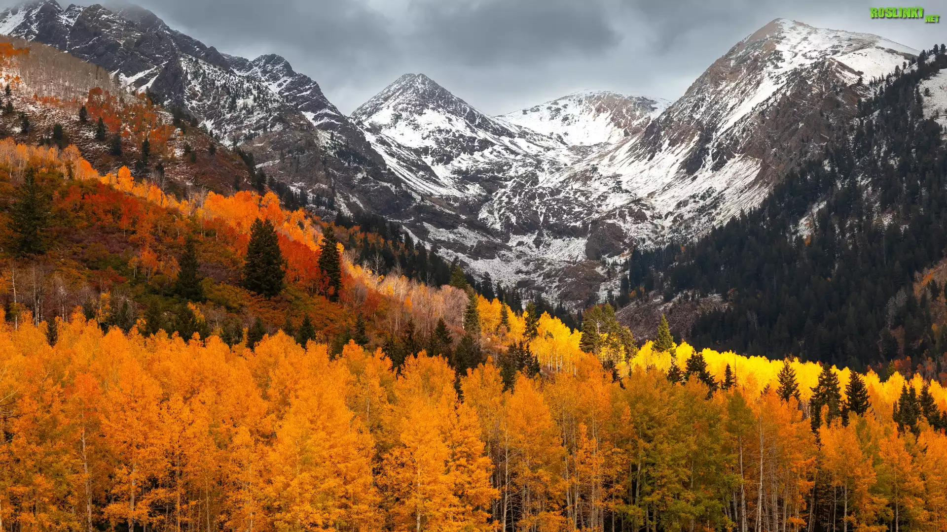 Jesień, Góry, Las, Pożółkłe, Drzewa, Chmury