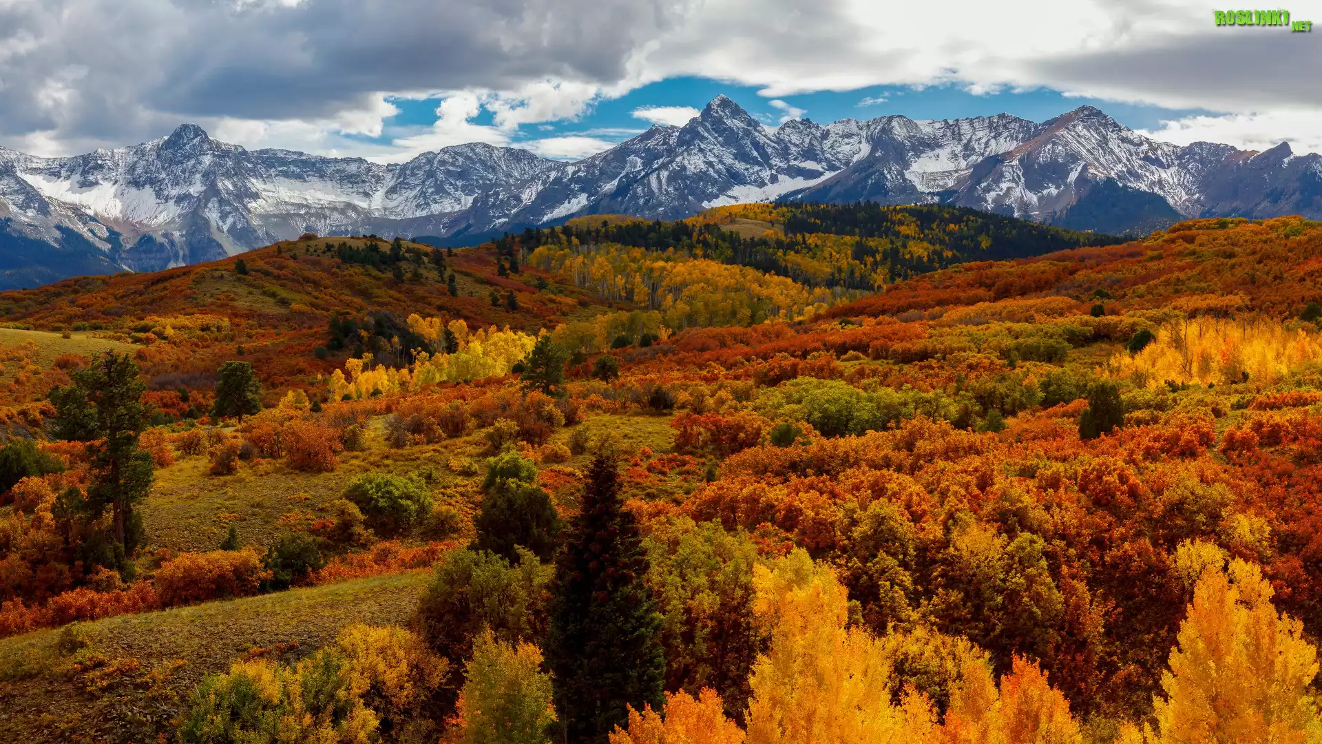 Las, Drzewa, Chmury, Jesień, Góry, San Juan Mountains, Przełęcz, Dallas Divide, Kolorado, Stany Zjednoczone