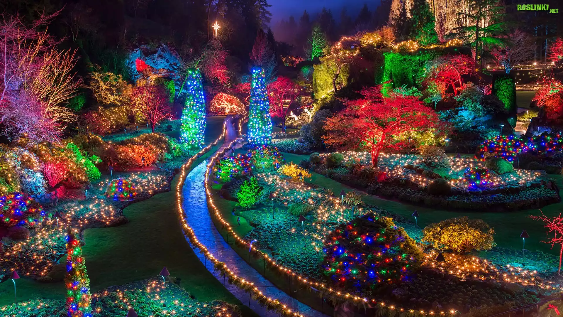 Ogród, Oświetlone, Kolorowe, Drzewa, Rabaty, Klomby, Alejki, Butchart Gardens, Brentwood Bay, Kolumbia Brytyjska, Kanada