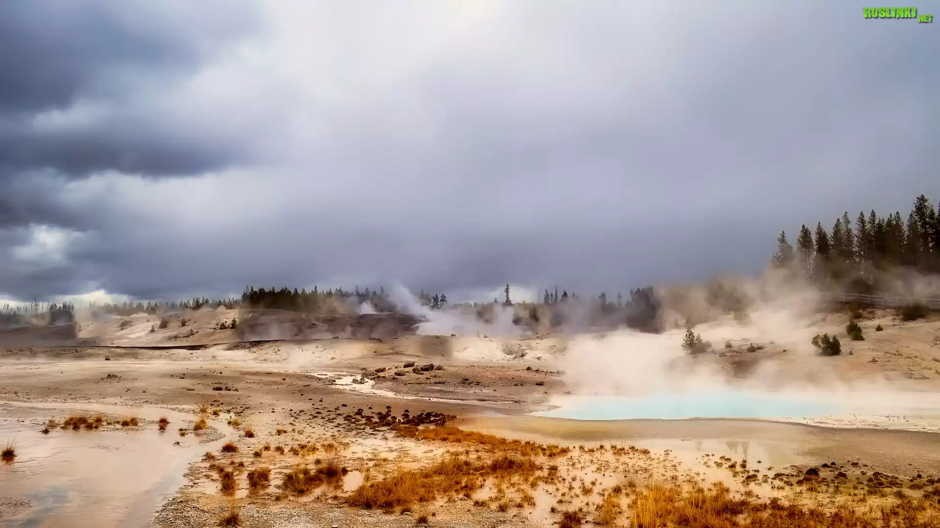 Stany Zjednoczone, Stan Wyoming, Park Narodowy Yellowstone, Gorące, Źródła