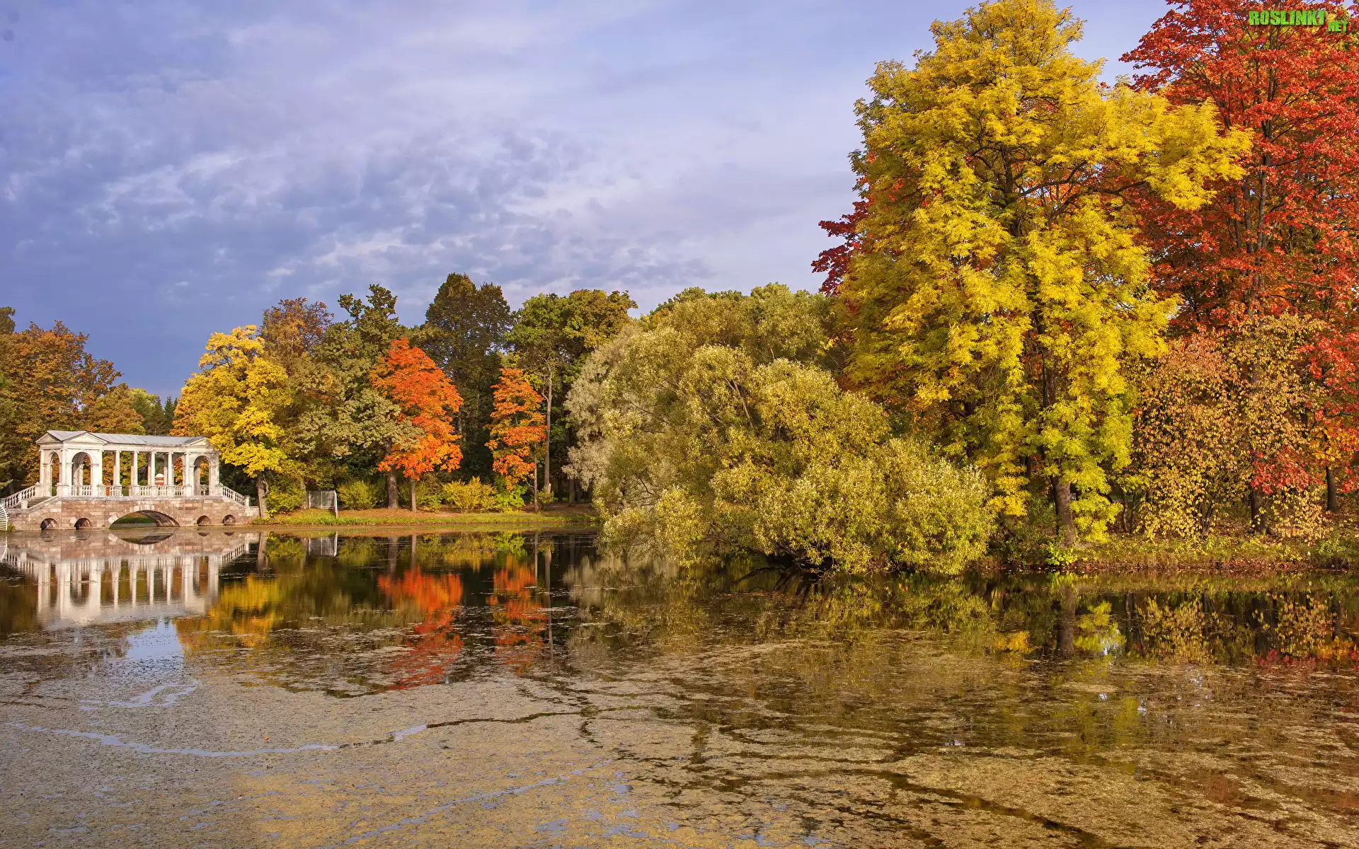 Park, Jesień, Drzewa, Staw, Most, Chmury, Pawłowsk, Petersburg, Rosja