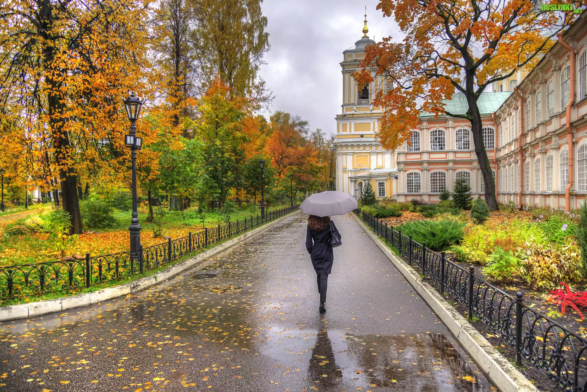 Rosja, Petersburg, Ławra Aleksandra Newskiego w Petersburgu, Klasztor, Jesień, Kobieta, Parasol, Park, Alejka, Drzewa, Liście