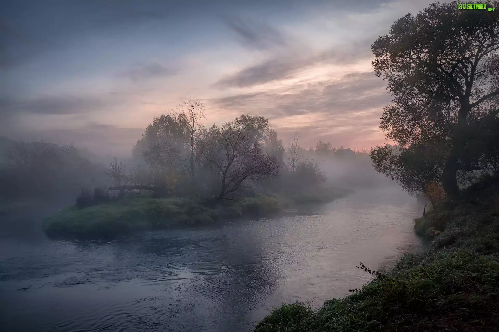 Poranek, Wschód słońca, Mgła, Rzeka Istra, Drzewa, Obwód moskiewski, Rosja