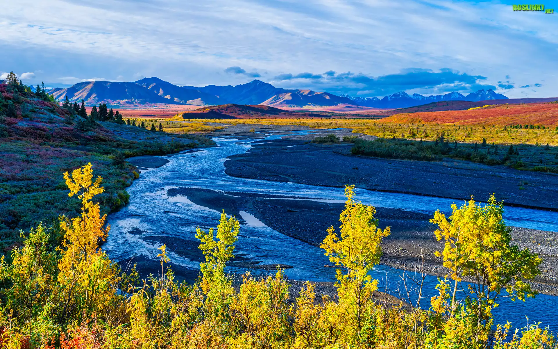 Park Narodowy Denali, Góry, Rzeka, Savage River, Drzewa, Roślinność, Jesień, Niebo, Alaska, Stany Zjednoczone