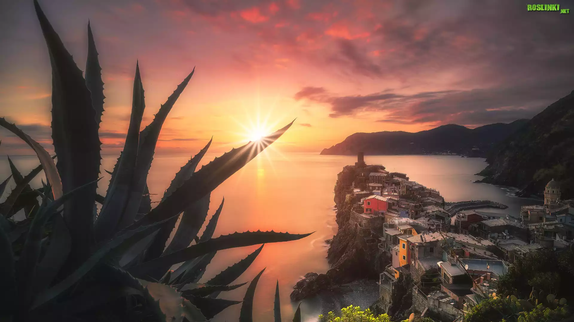 Włochy, Cinque Terre, Vernazza, Morze, Góry, Zachód słońca, Rośliny