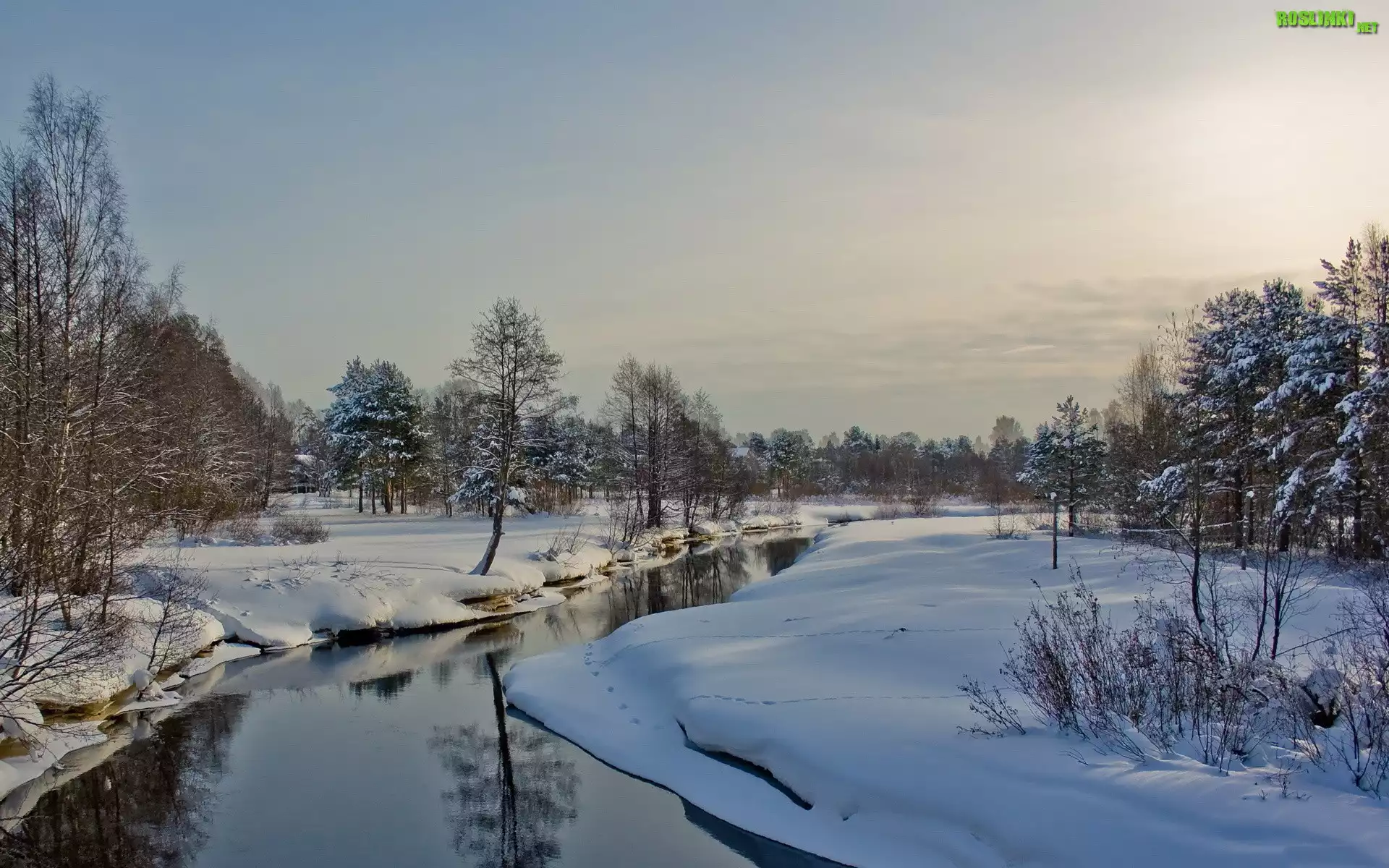 Rzeka, Åšnieg, Drzewa, Zima