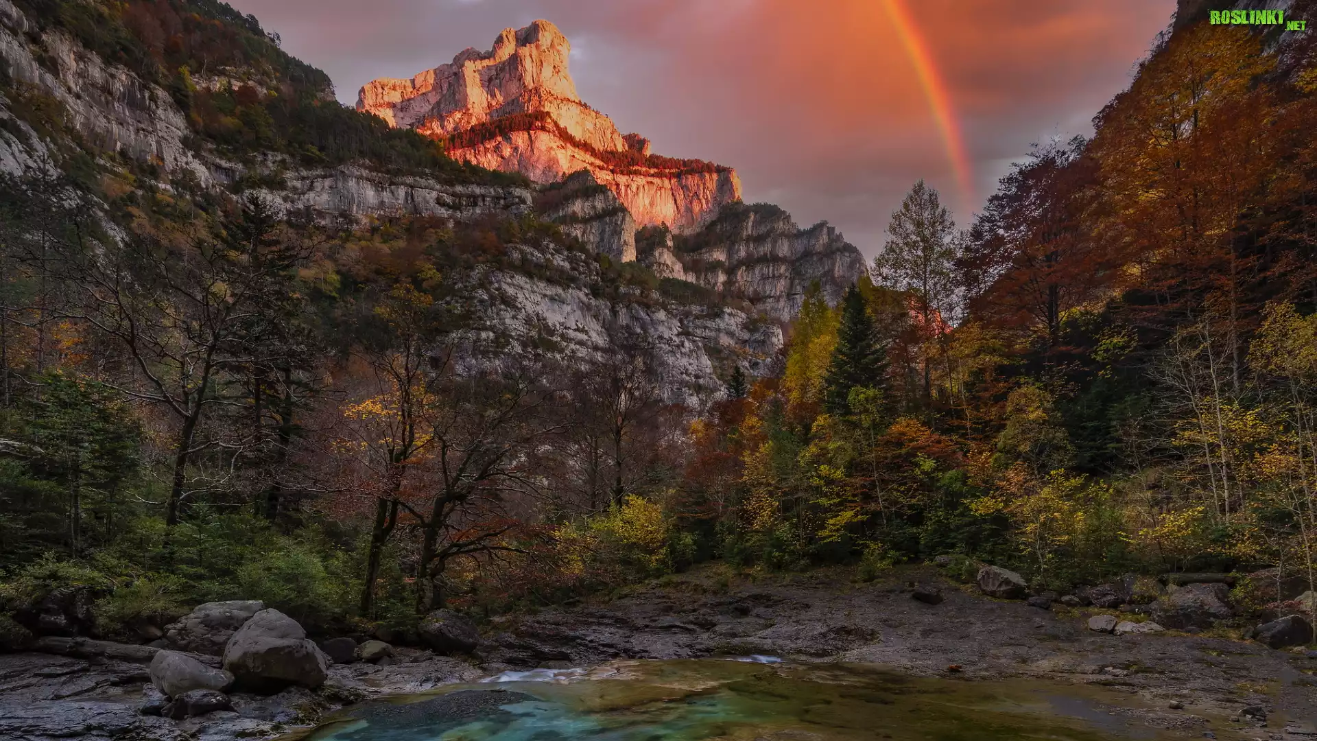 Góry, Pireneje, Wąwóz, Drzewa, Rzeka Bellos, Tęcza, Park Narodowy Ordesa y Monte Perdido, Hiszpania