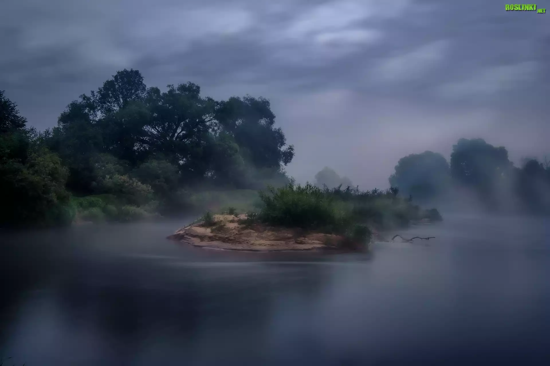 Rzeka, Drzewa, Krzewy, Mgła