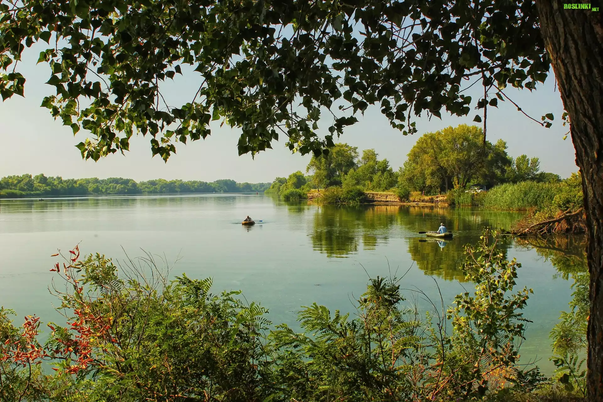 Rzeka, Wędkarze, Lasy, Lato