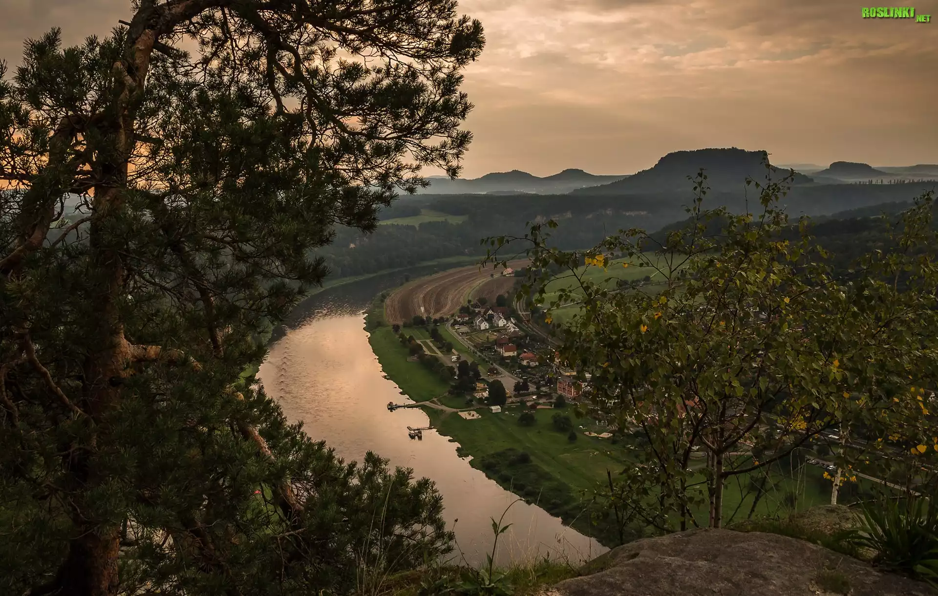 Rzeka Łaba, Skały, Drzewa, Park Narodowy Saskiej Szwajcarii, Niemcy