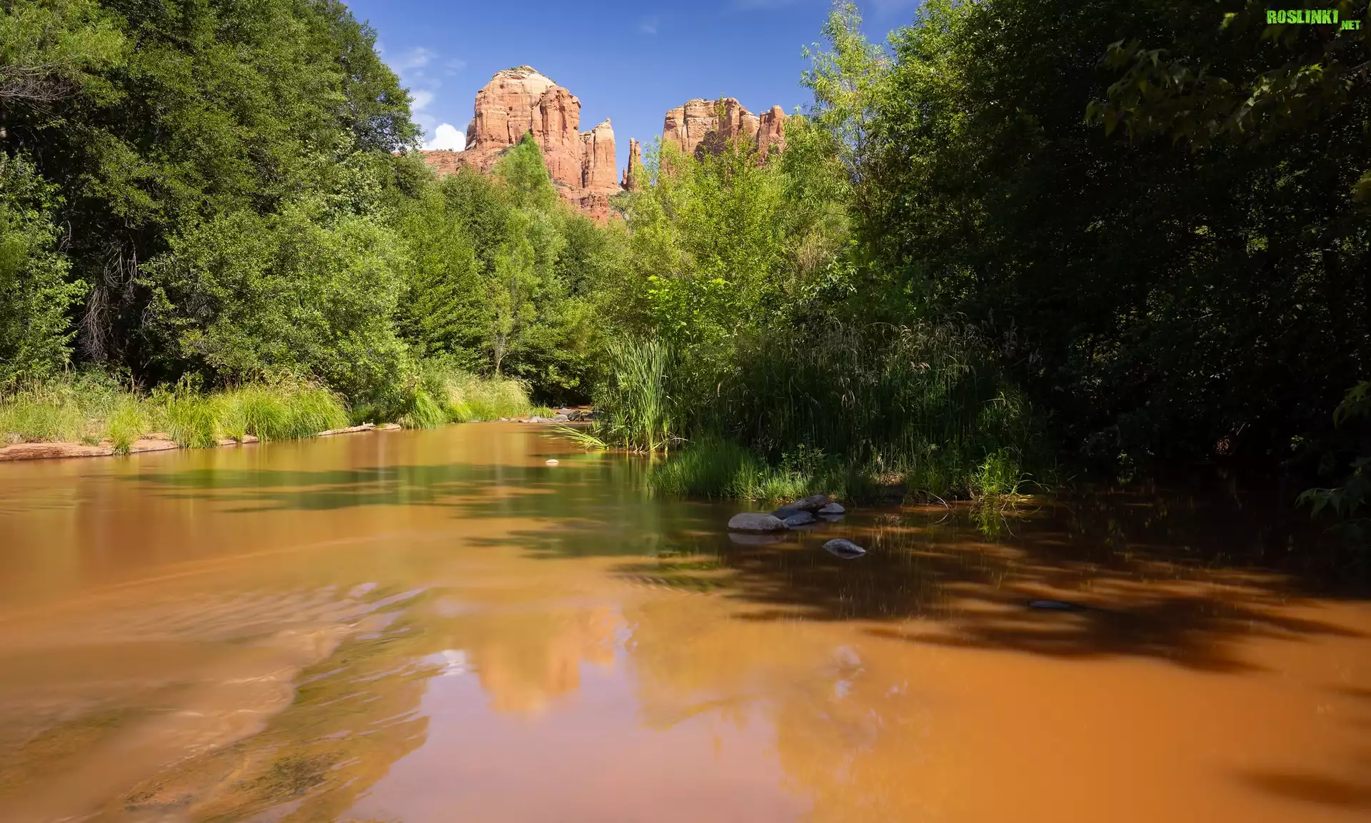 Rzeka, Drzewa, Góry, Red Rock State Park, Arizona, Stany Zjednoczone