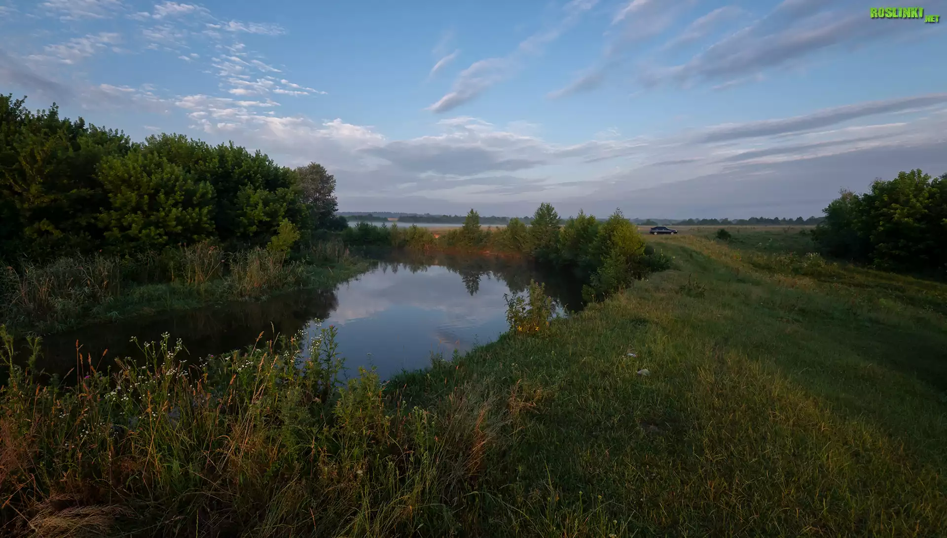 Rzeka, Drzewa, Trawa, Rośliny