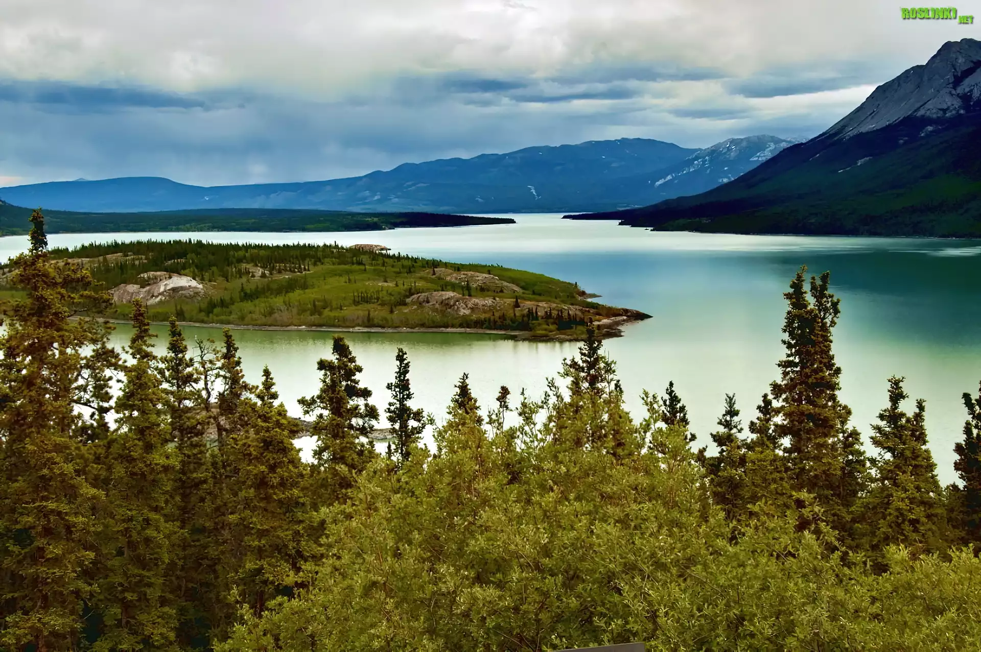 Rzeka, Drzewa, Góry, Yukon, Kanada