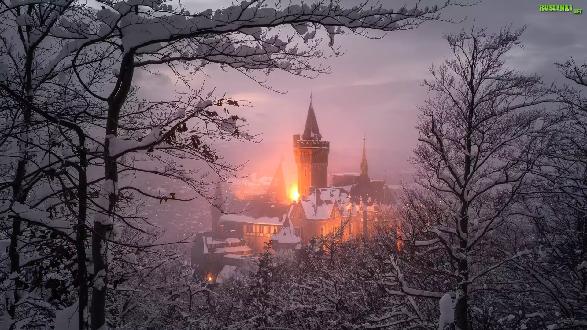 Niemcy, Saksonia, Wernigerode, Zamek Wernigerode, Zima, Drzewa, Światła