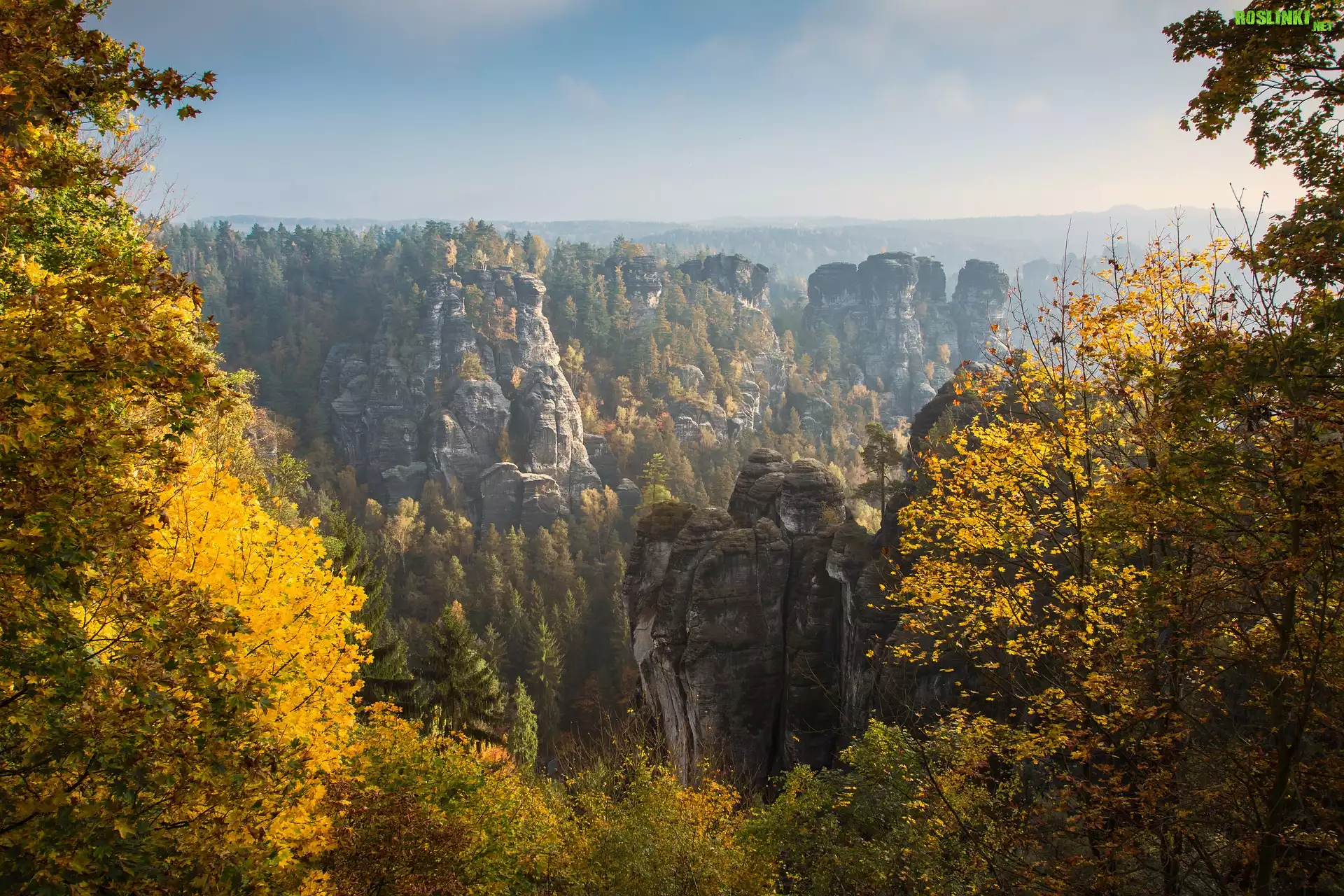 Niemcy, Góry Połabskie, Park Narodowy Saskiej Szwajcarii, Formacja skalna Bastei, Drzewa, Jesień