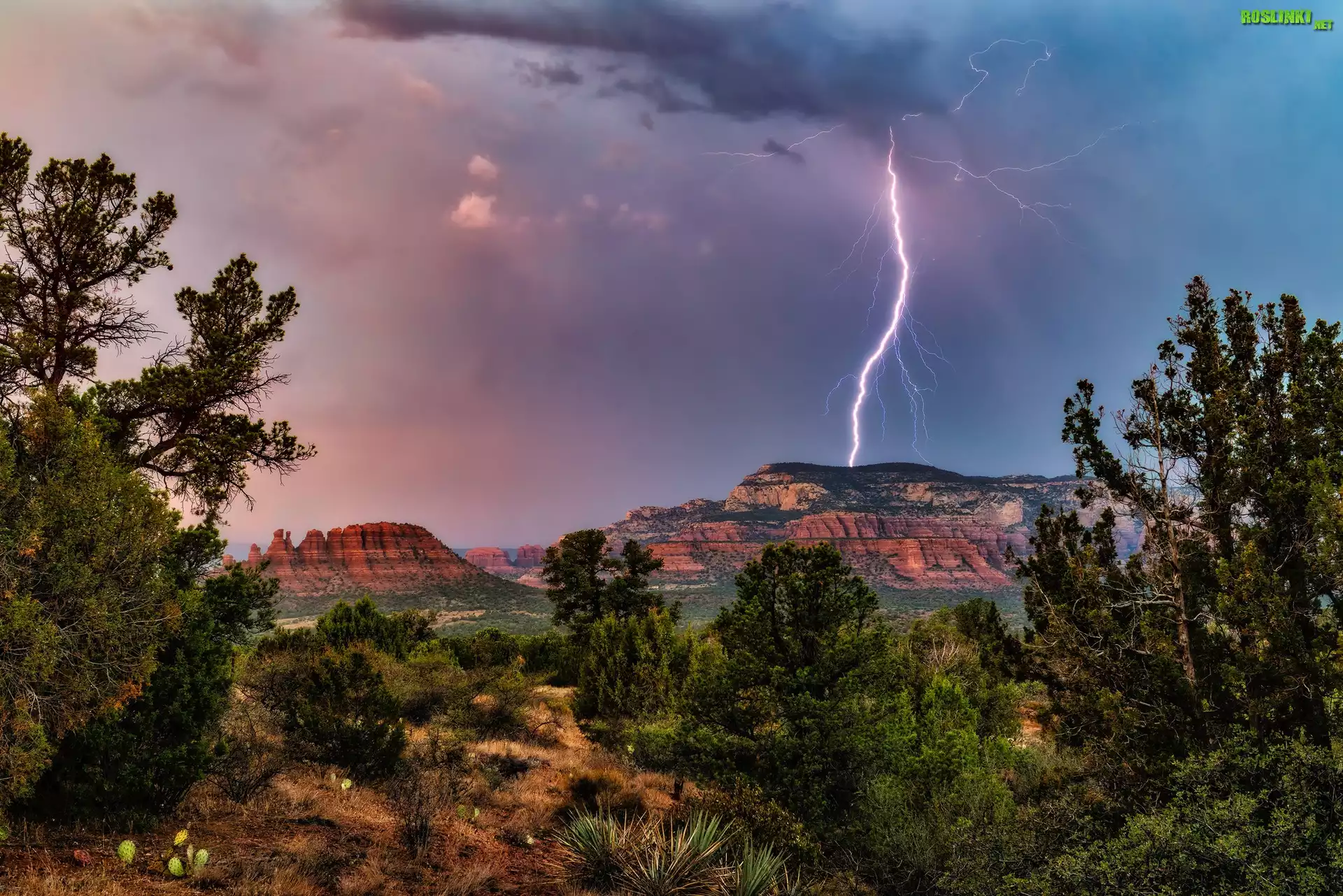 Stany Zjednoczone, Arizona, Sedona, Góra, Bear Mountain, Skały, Drzewa, Chmury, Burza, Błyskawica, Piorun