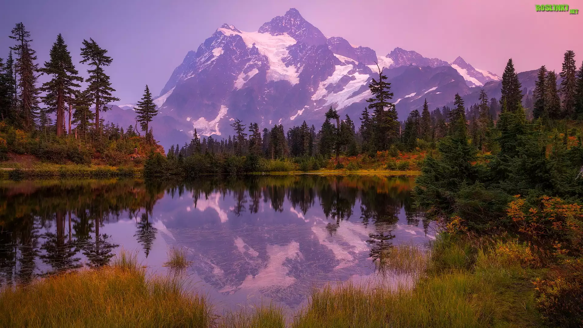 Jesień, Góry, Góra, Mount Shuksan Drzewa, Jezioro, Picture Lake, Odbicie, Stan Waszyngton, Stany Zjednoczone