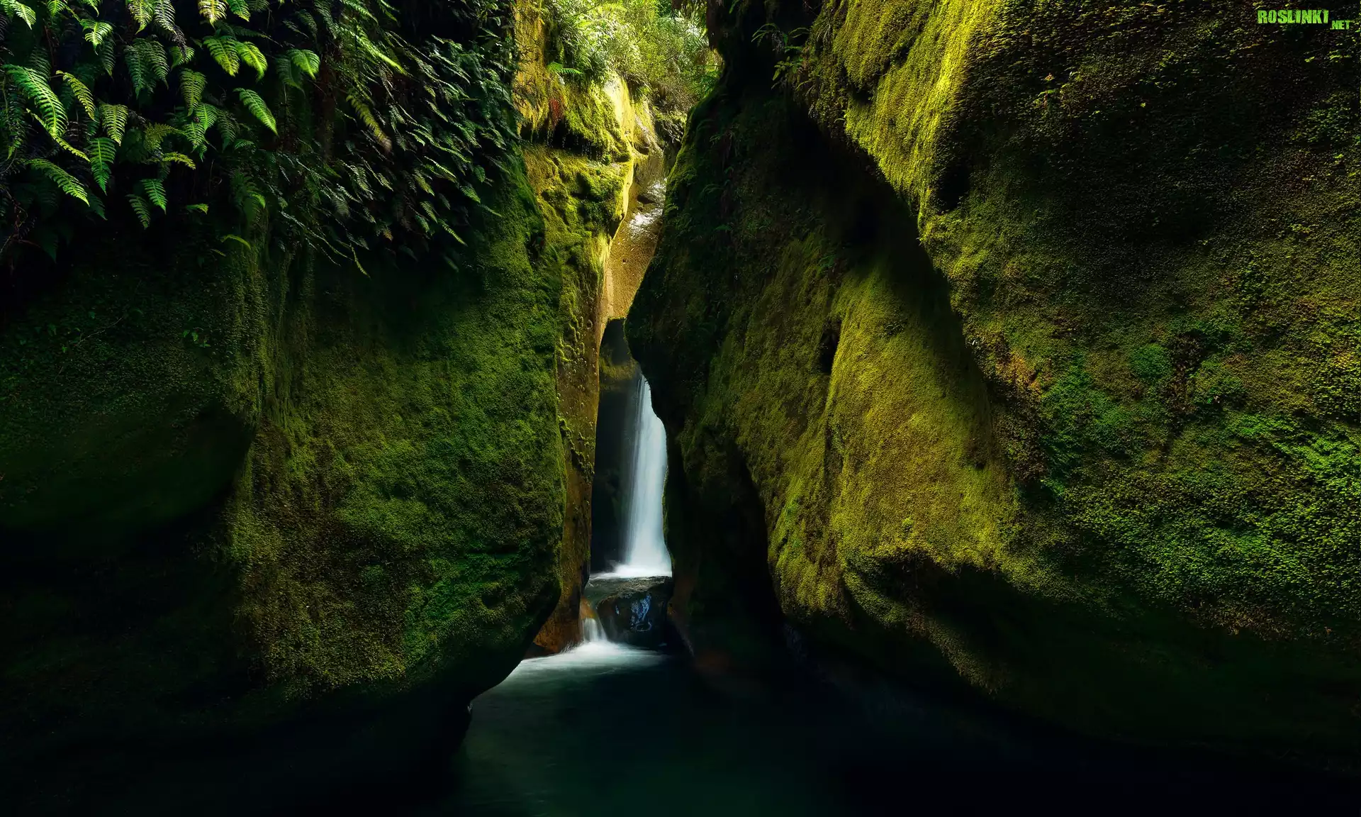Skały, Wodospad, Upper Chasm Falls, Mech, Roślinność, Tasmania, Australia