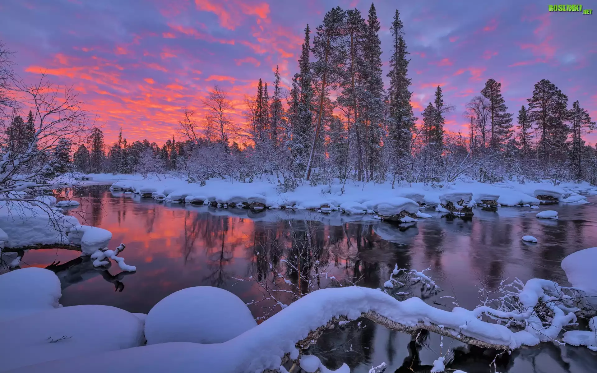 Rosja, Półwysep Kolski, Zima, Rzeka, Drzewa, Zachód słońca