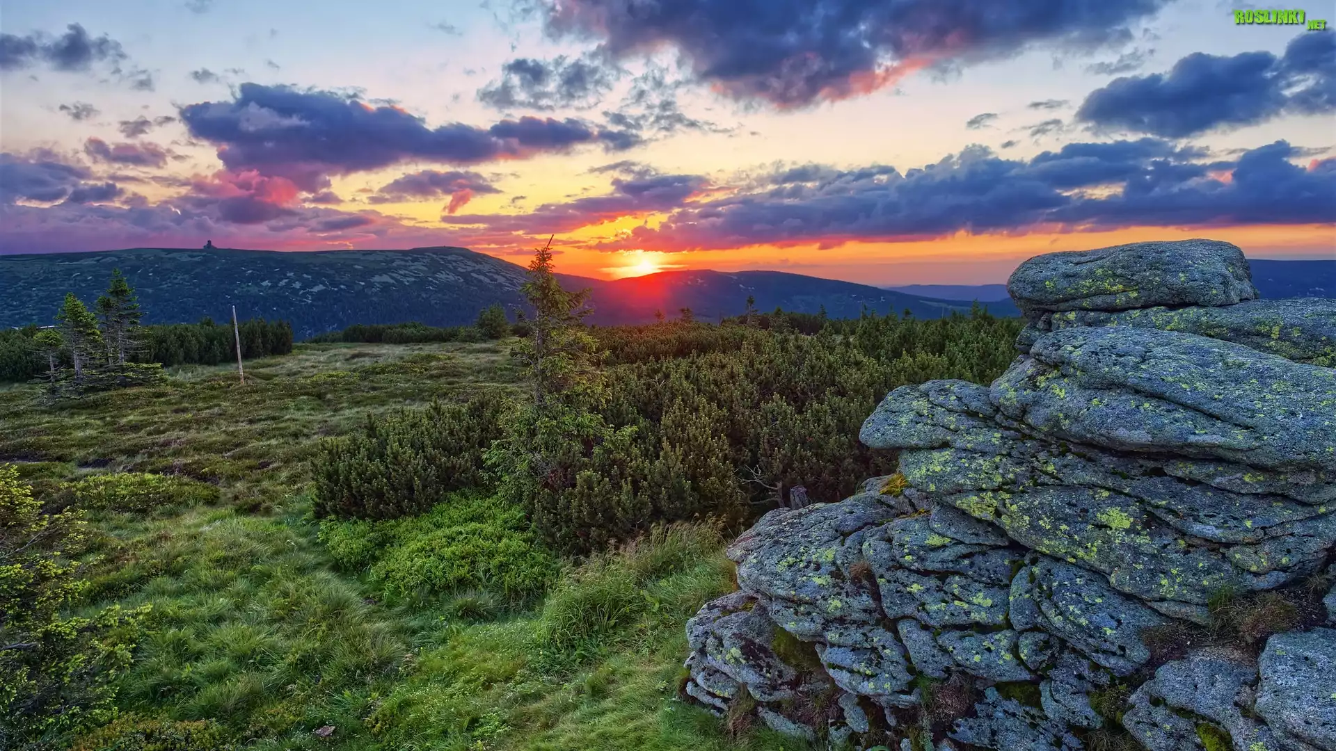 Zachód słońca, Góry, Karkonosze, Chmury, Skały, Drzewa, Polska