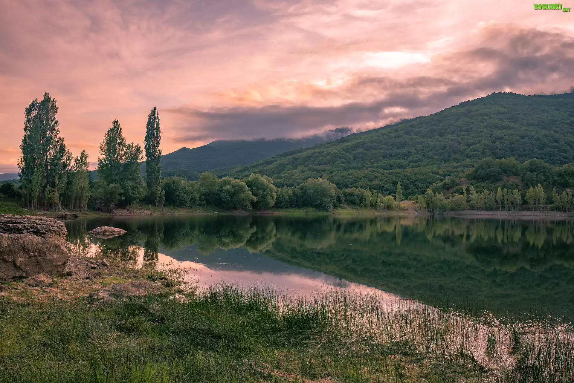 Wschód słońca, Wzgórza, Jezioro, Odbicie, Drzewa, Trawy, Skały