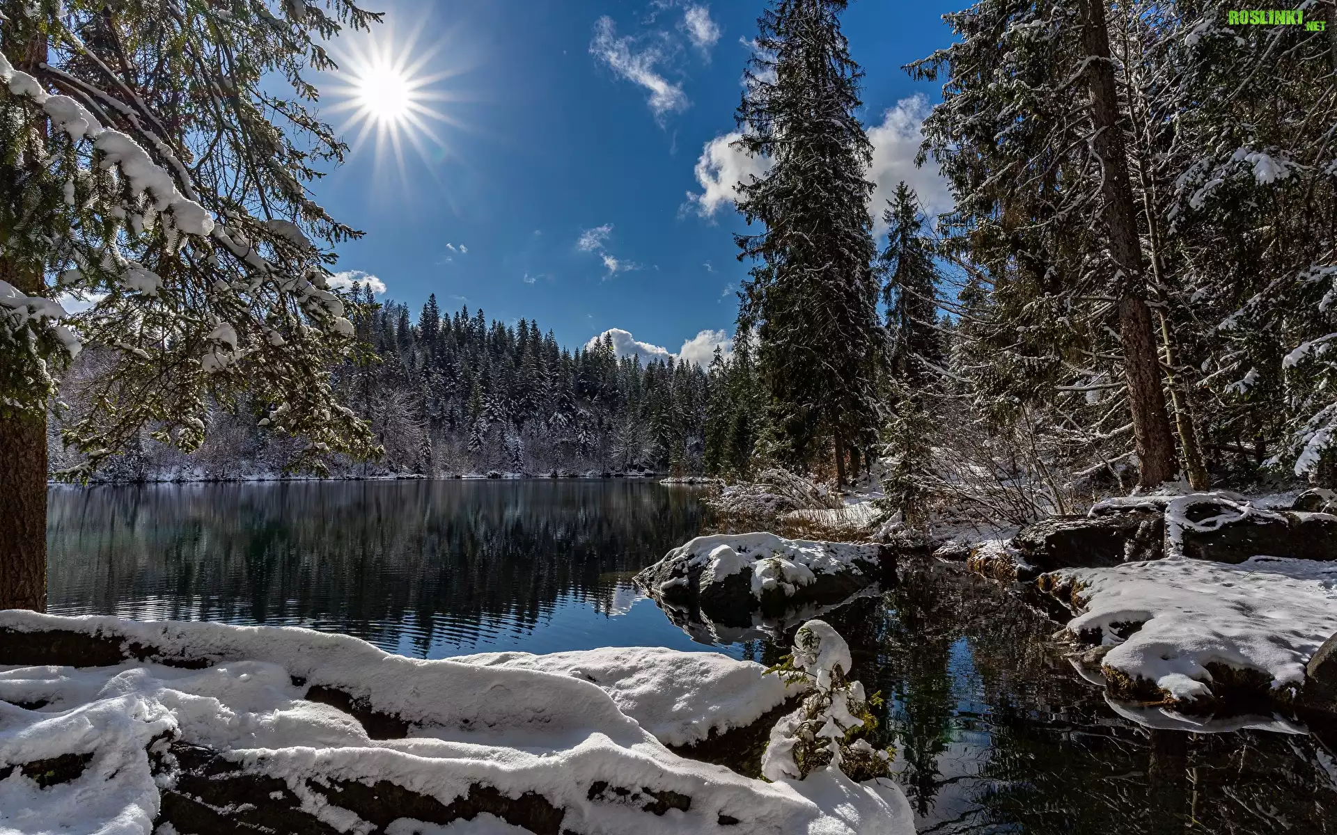 Zima, Jezioro, Lake Cresta, Promienie słońca, Las, Drzewa, Śnieg, Kanton Gryzonia, Szwajcaria
