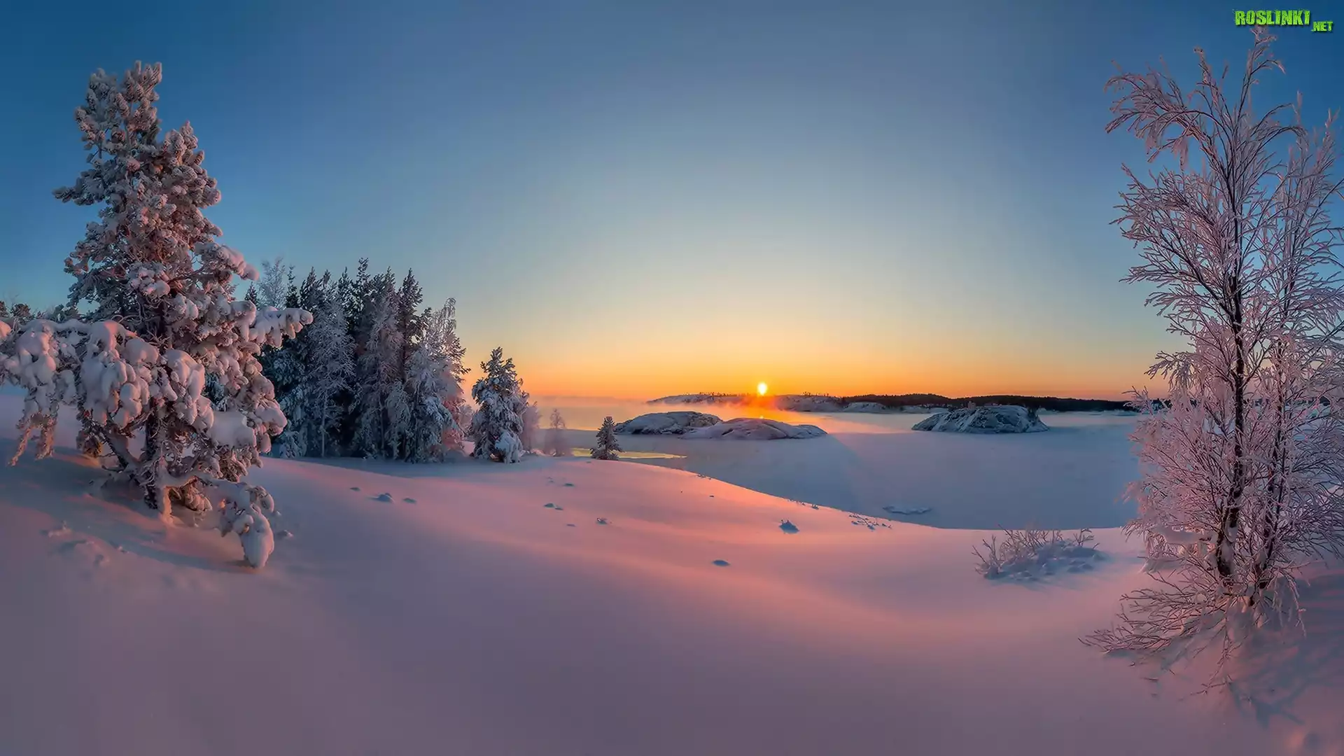 Śnieg, Zima, Wschód słońca, Drzewa