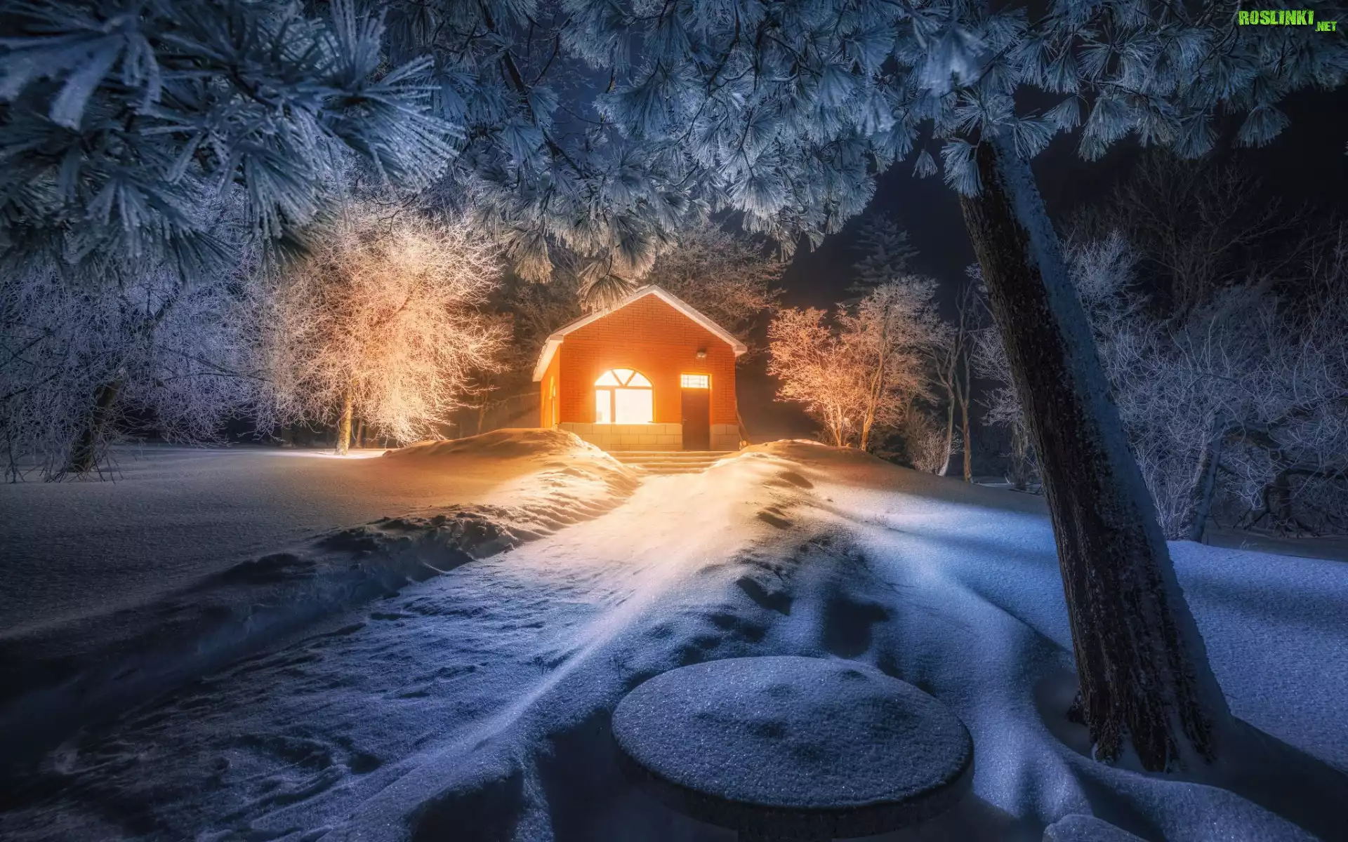 Zima, Drzewa, Droga, Dom, Las, Noc, Gałęzie, Śnieg
