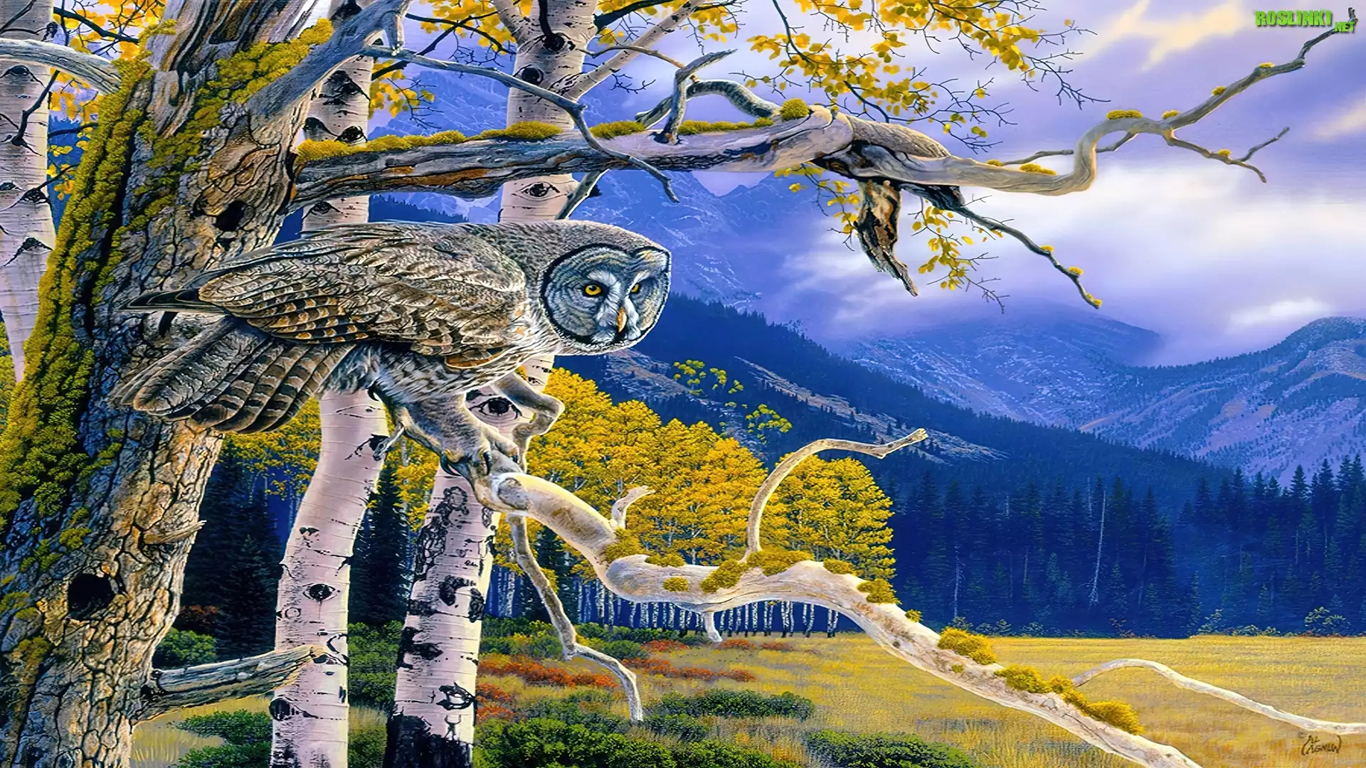 Sowa, Puchacz, Drzewa, Góry