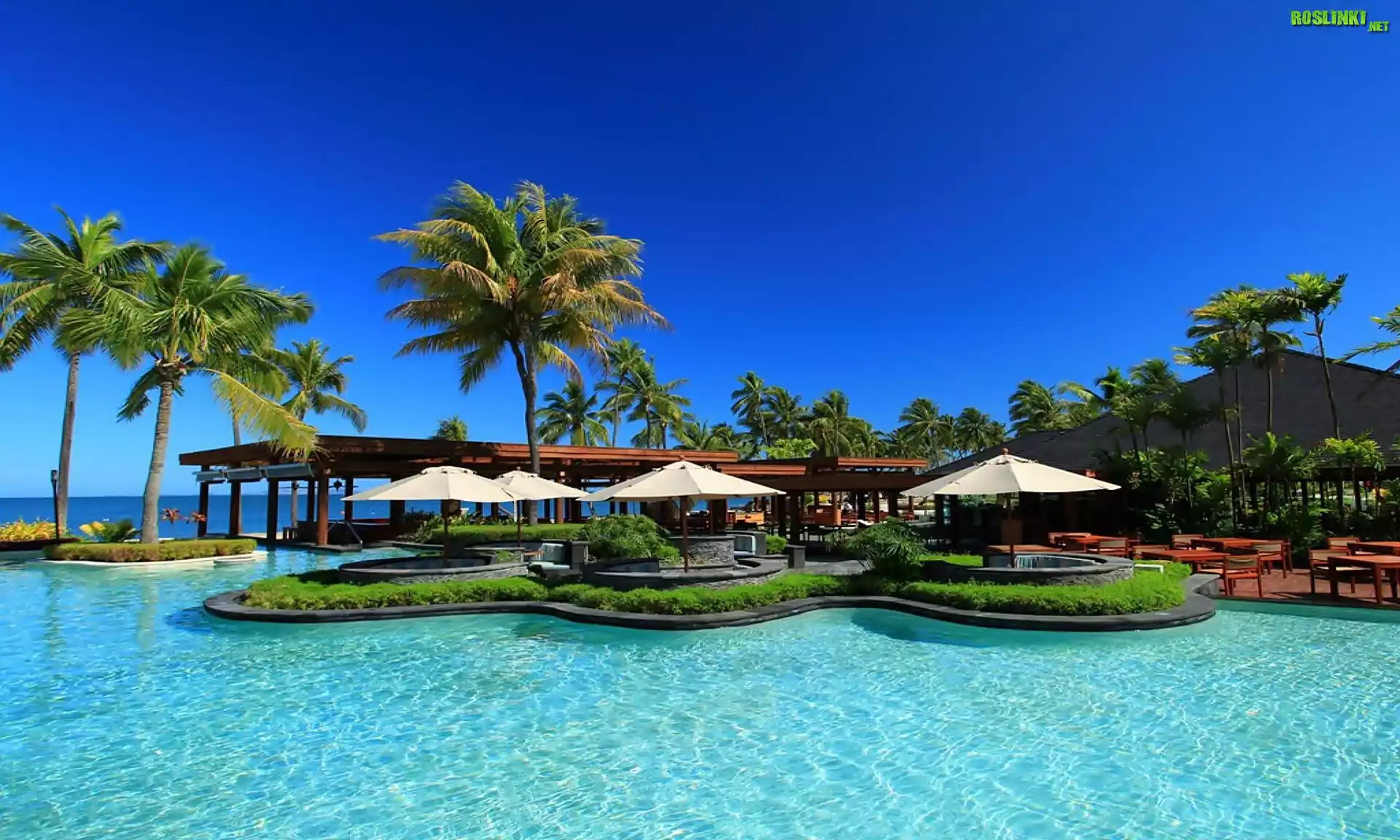 Fidżi, Hotel The Westin Denarau Island Resort & Spa, Wakacje, Palmy, Morze
