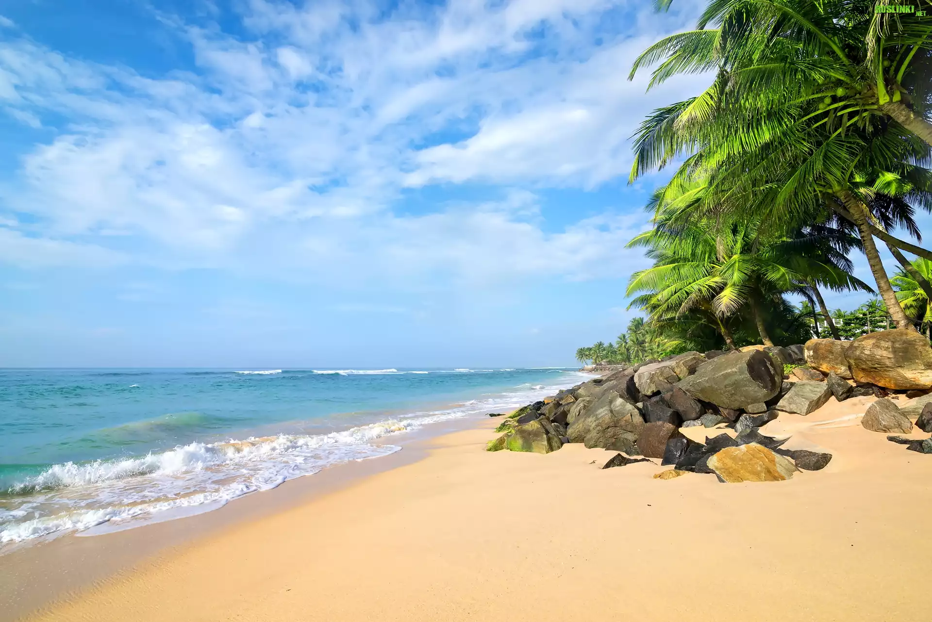 Sri Lanka, Morze, Plaża, Kamienie, Palmy
