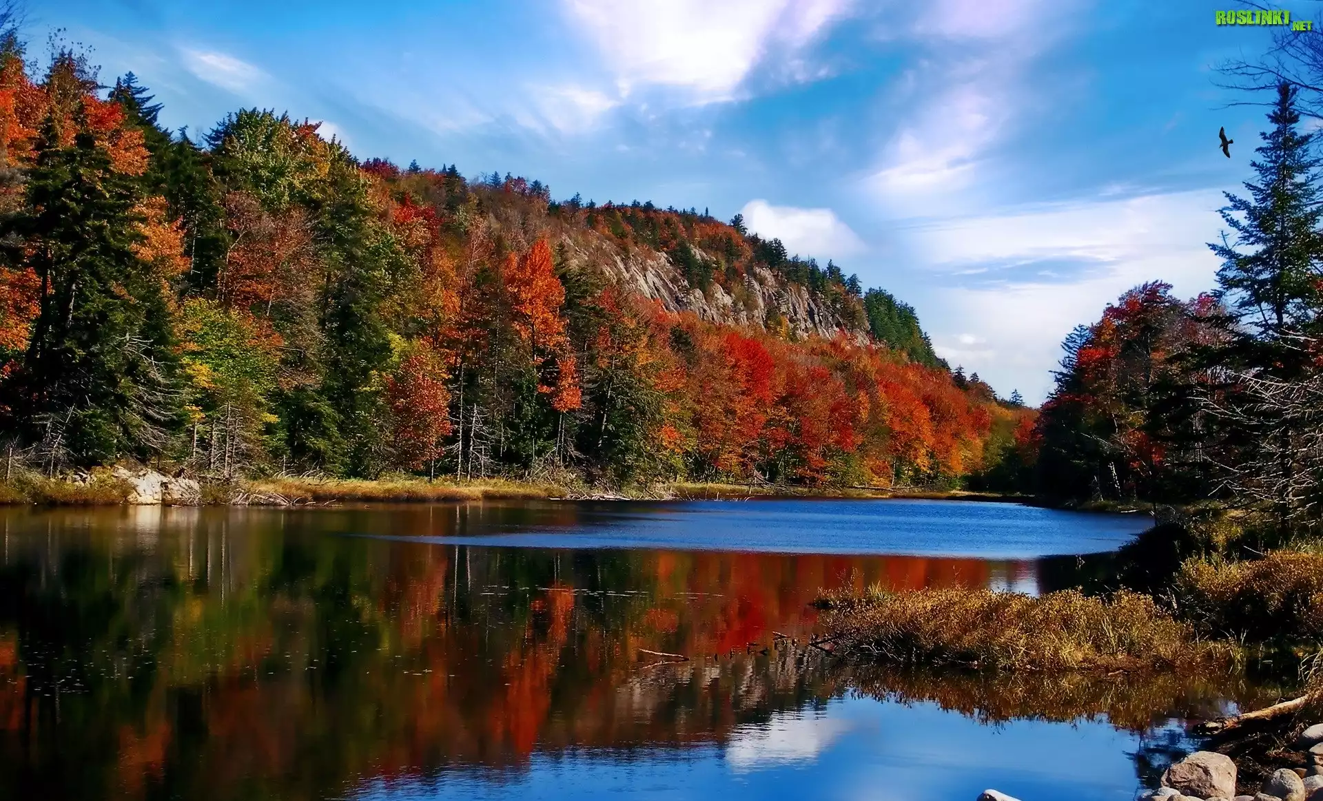Stany Zjednoczone, Stan Nowy Jork, Adirondack Park, Jesień, Drzewa, Góry, Jezioro