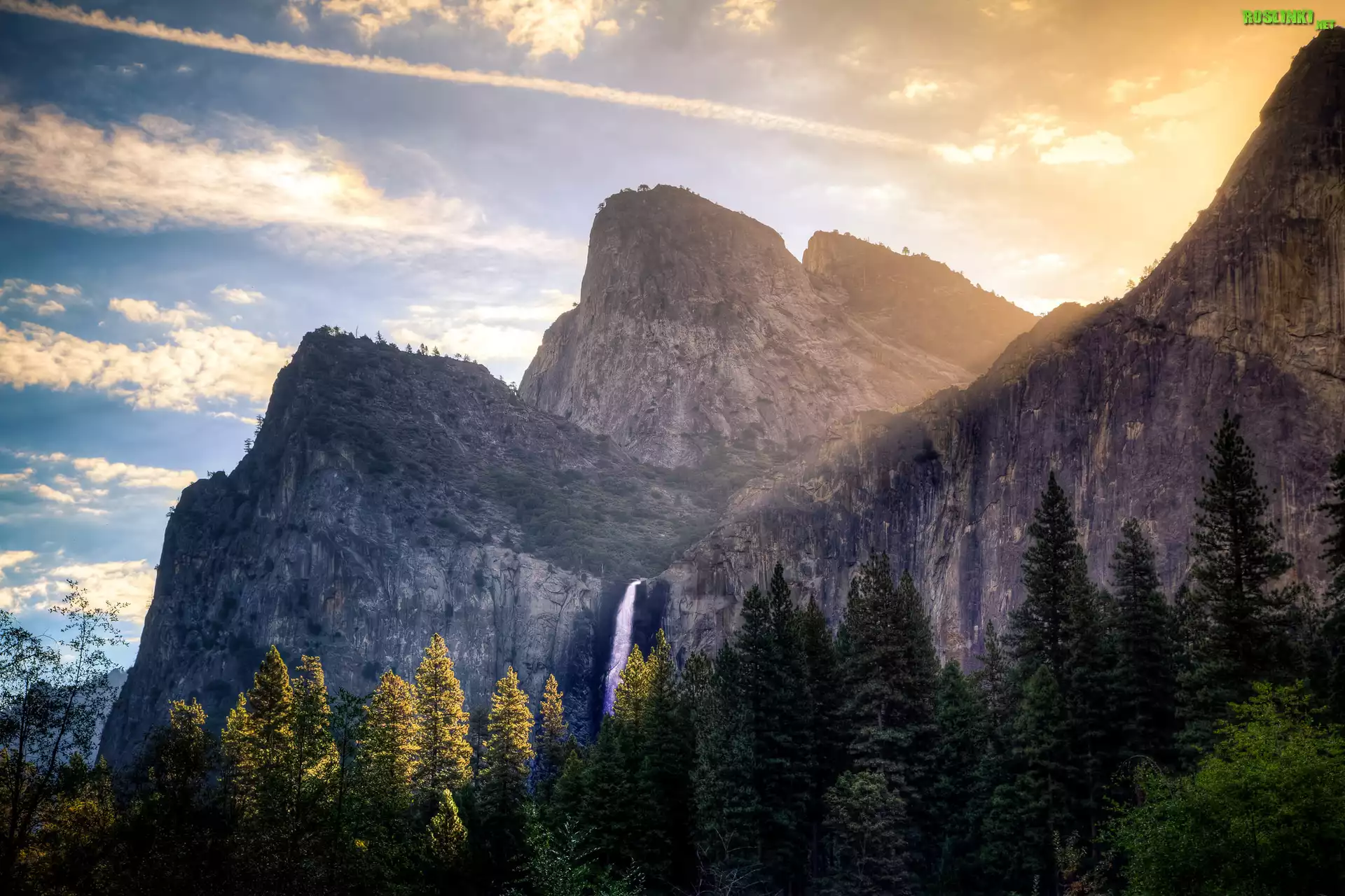 Stany Zjednoczone, Stan Kalifornia, Park Narodowy Yosemite, Góry, Wodospad Horsetail, Drzewa