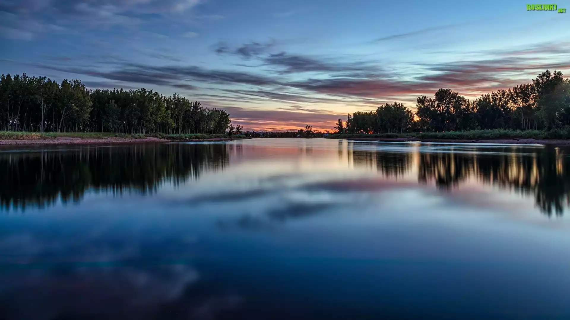 Poranek, Jezioro, Lake Chatfield, Drzewa, Park stanowy Chatfield, Kolorado, Stany Zjednoczone