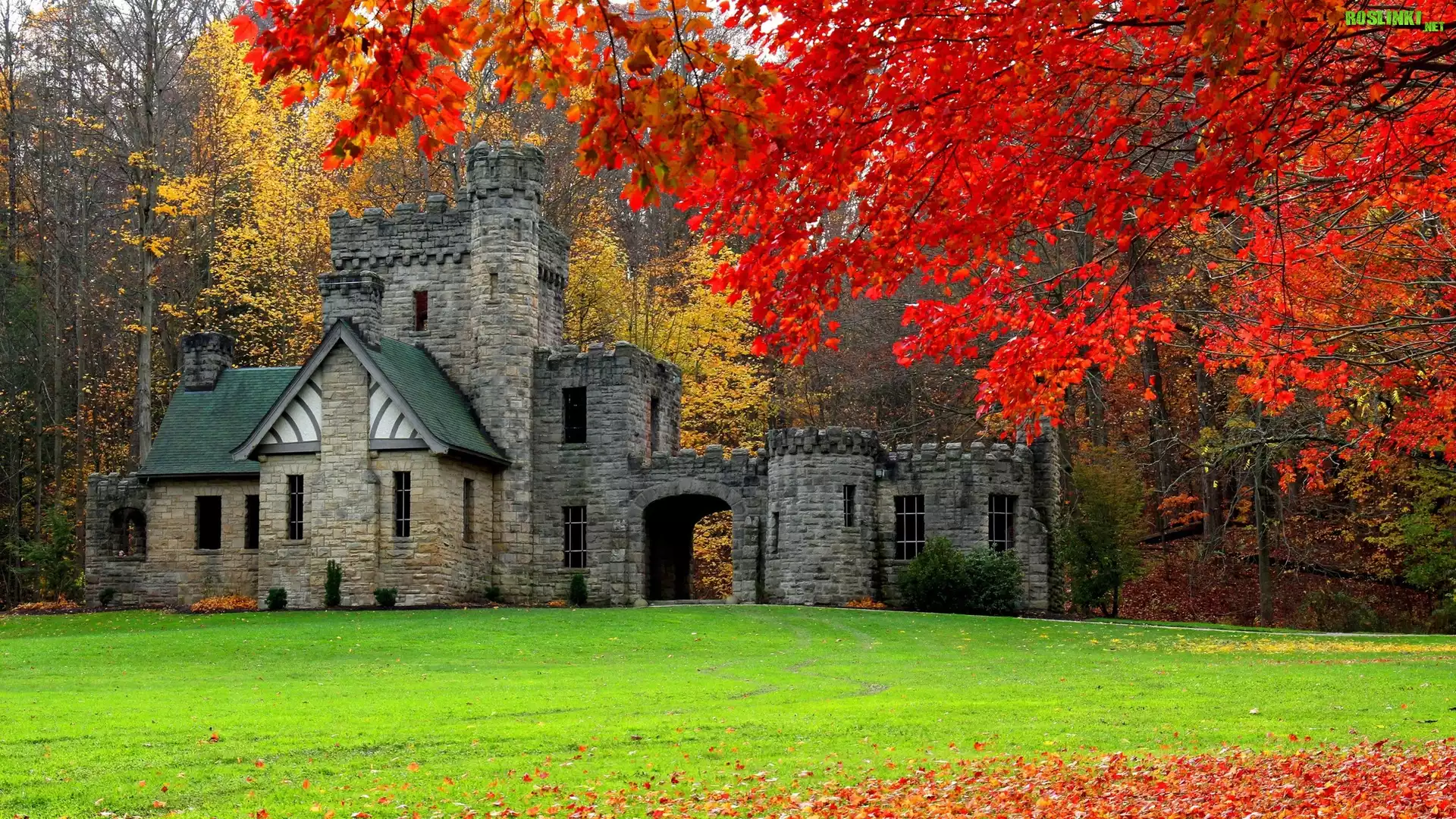 Stany Zjednoczone, Stan Ohio, Miasto Willoughby Hills, Park North Chagrin Reservation, Squires Castle - Zamek Giermka, Jesień, Drzewa