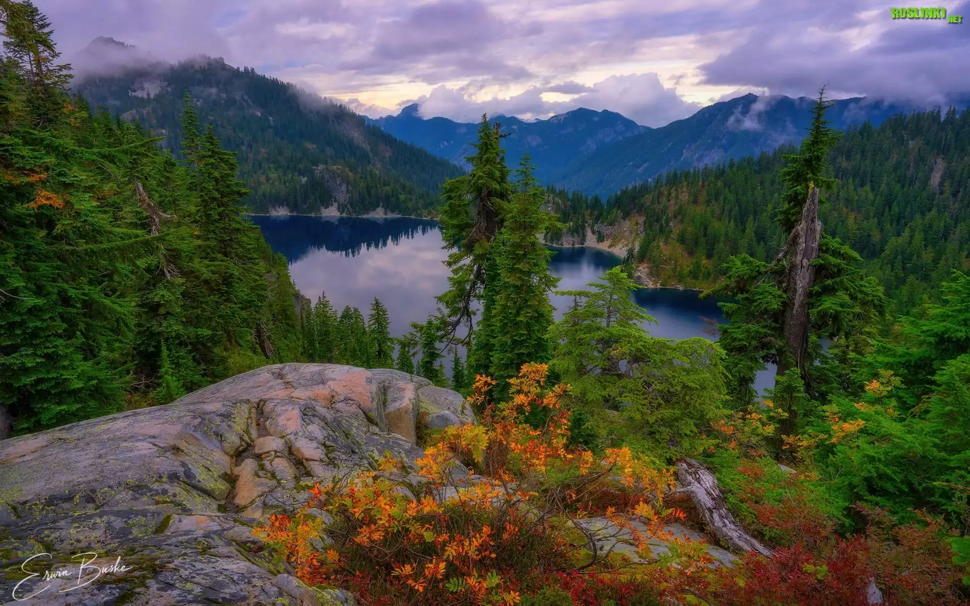 Stany Zjednoczone, Stan Waszyngton, Hrabstwo King County, Jezioro, Snow Lake, Góry, Skały, Drzewa, Chmury, Mgła