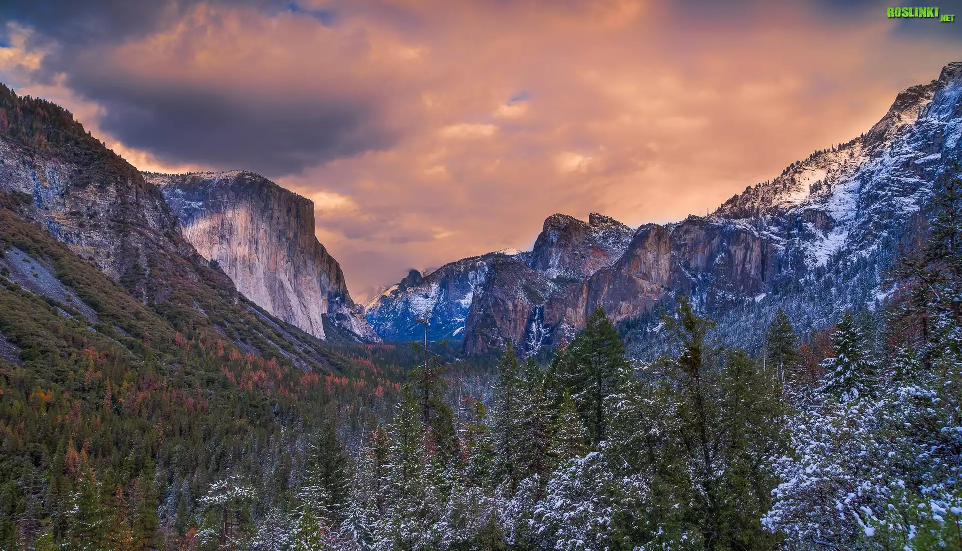 Stany Zjednoczone, Stan Kalifornia, Park Narodowy Yosemite, Dolina Yosemite Valley, Góry, El Capitan, Drzewa, Śnieg